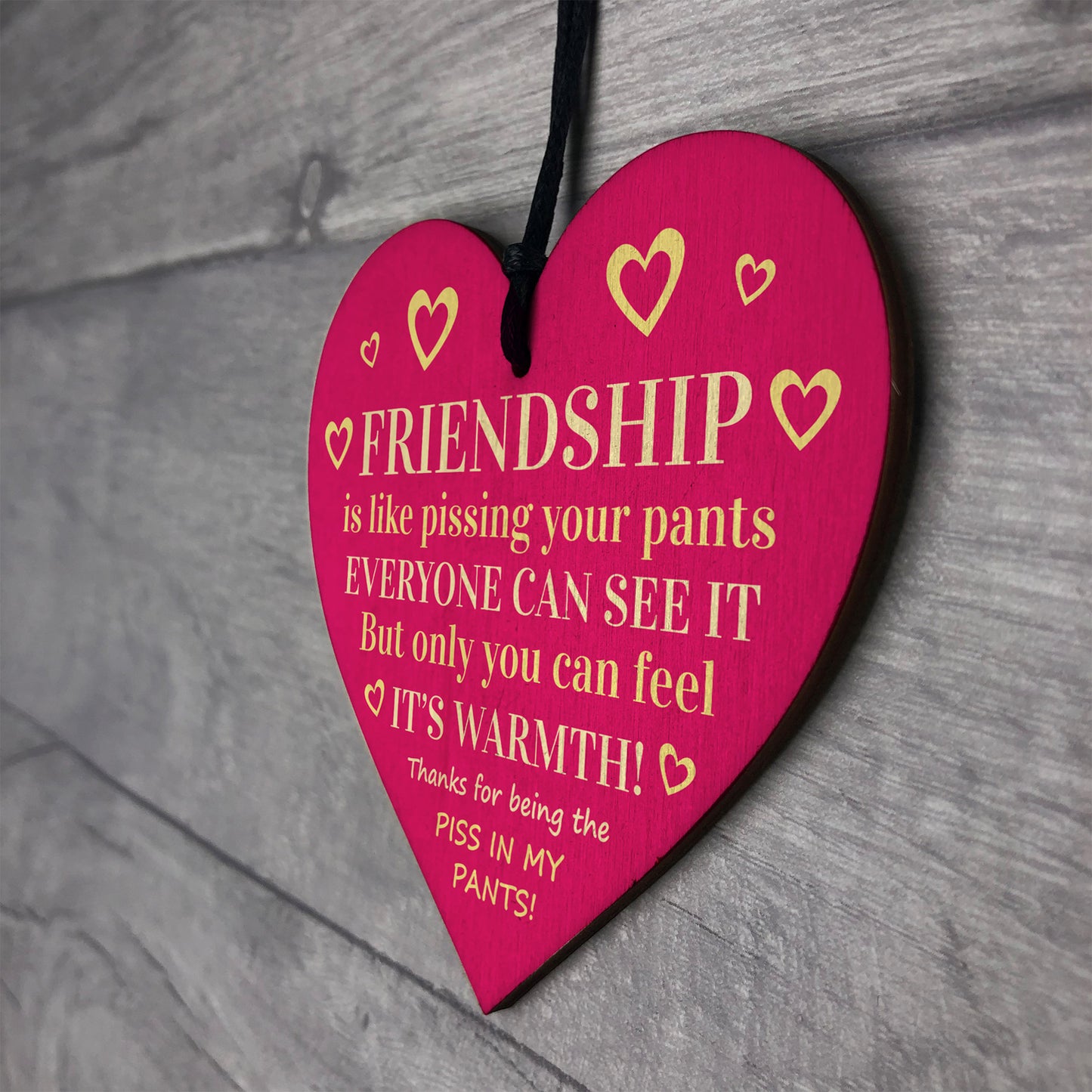 Funny Friendship Gift Plaque Best Friend Gifts For Her Bestie