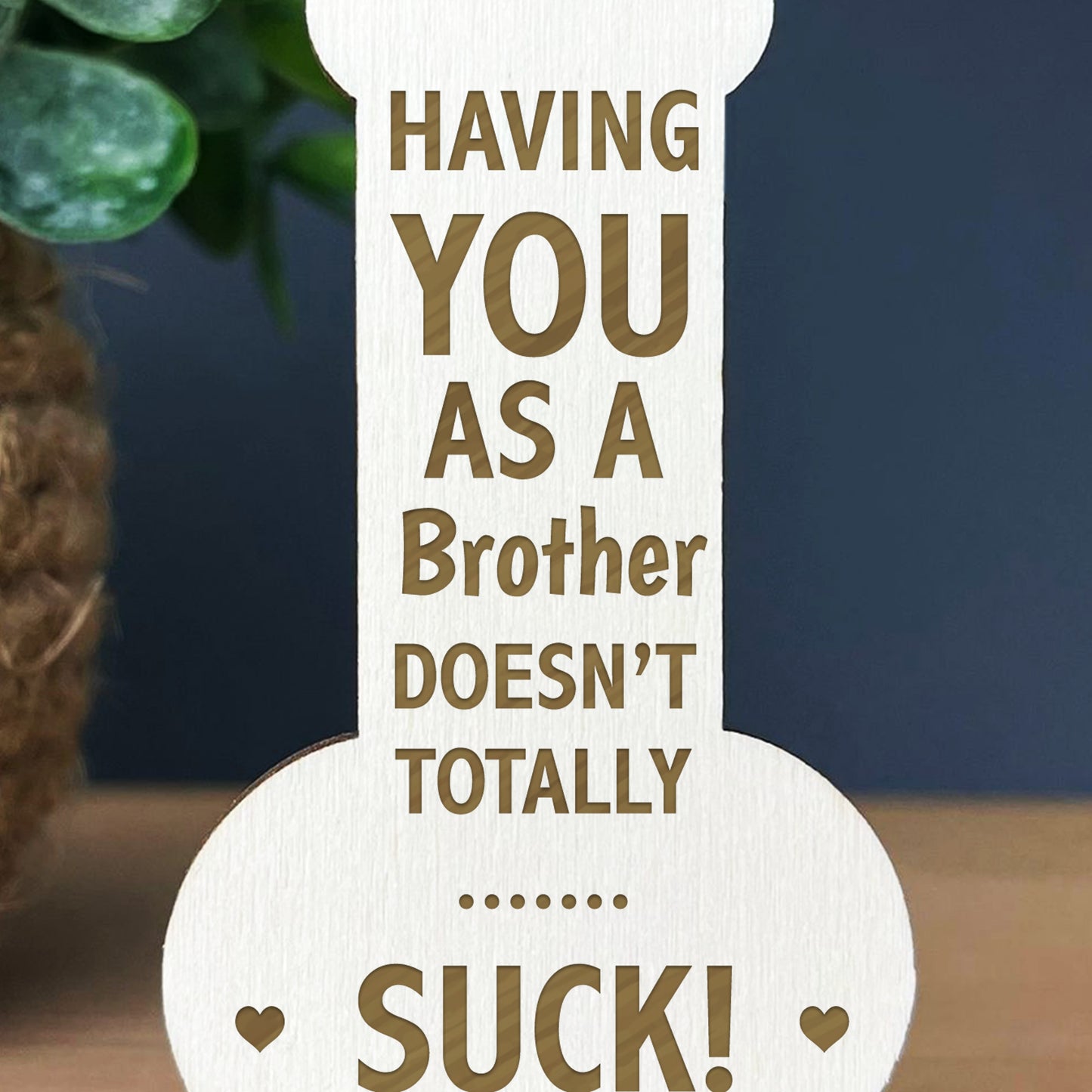 Novelty Gift For Brother Thank You Funny Christmas Birthday Gift