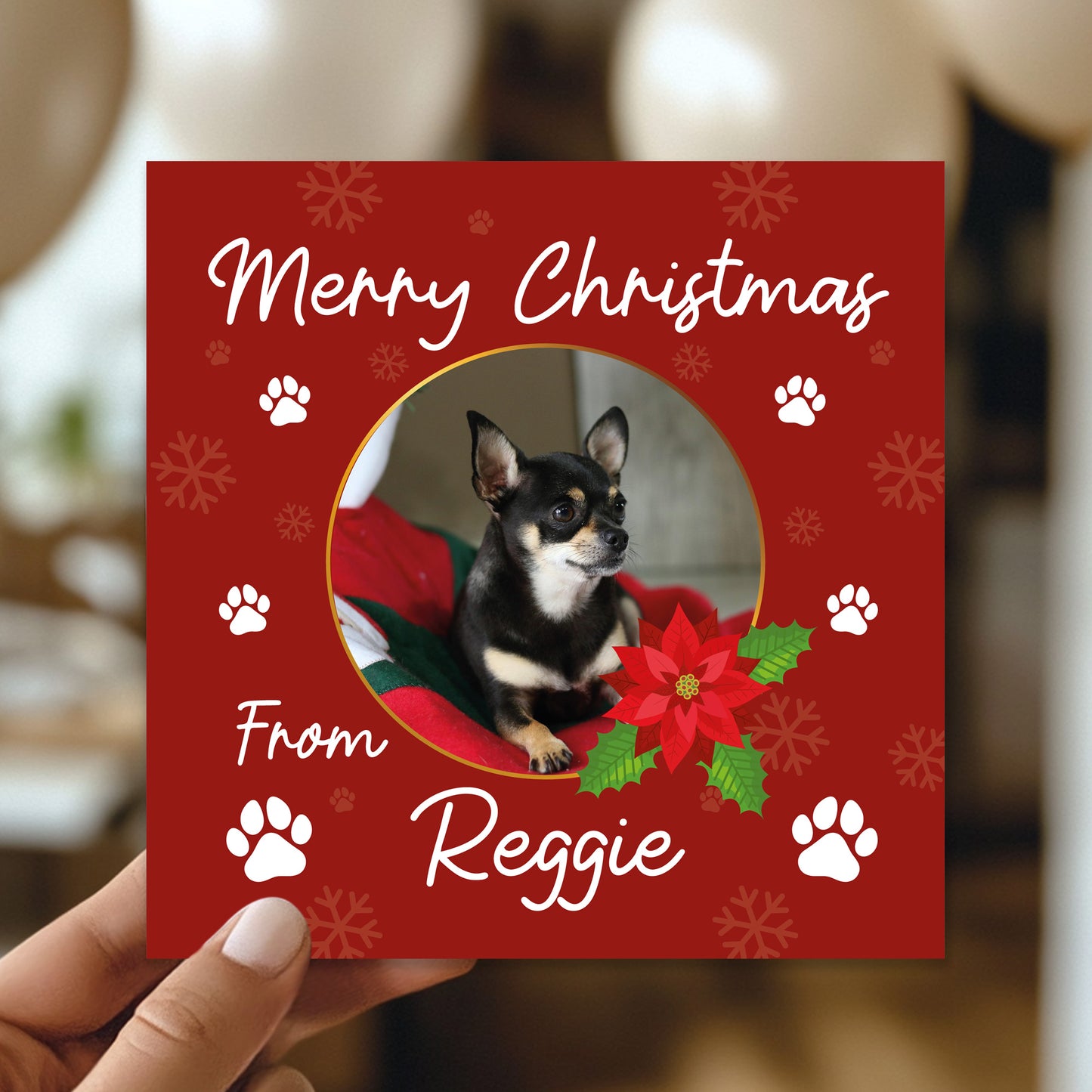 Novelty Christmas Card From The Dog Personalised Photo Card