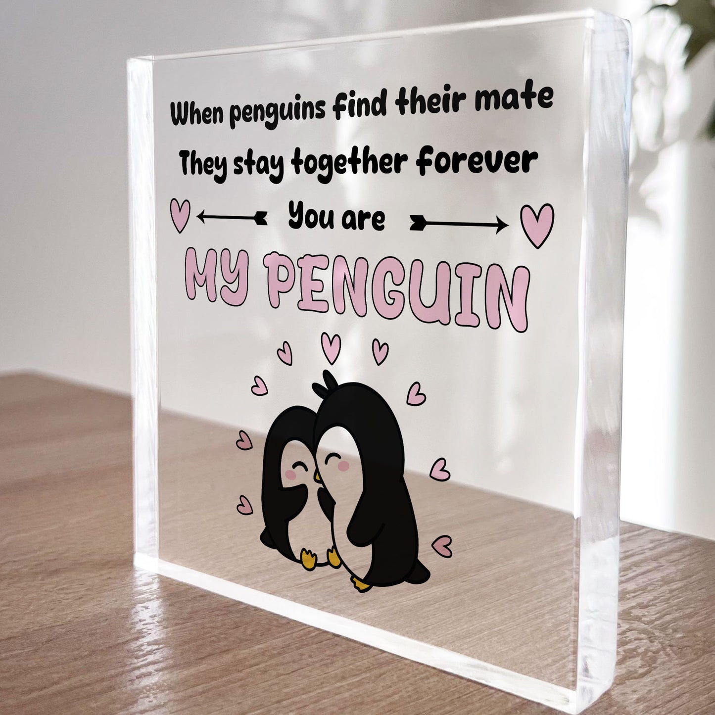 Novelty Gift For Husband Wife Girlfriend Boyfriend Wedding Gift