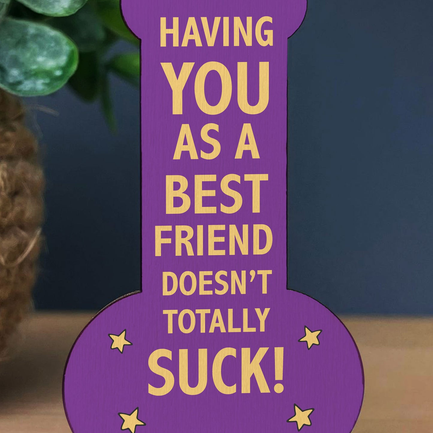 GIFT FOR BEST FRIEND Funny Best Friend Gift Her Birthday Gifts