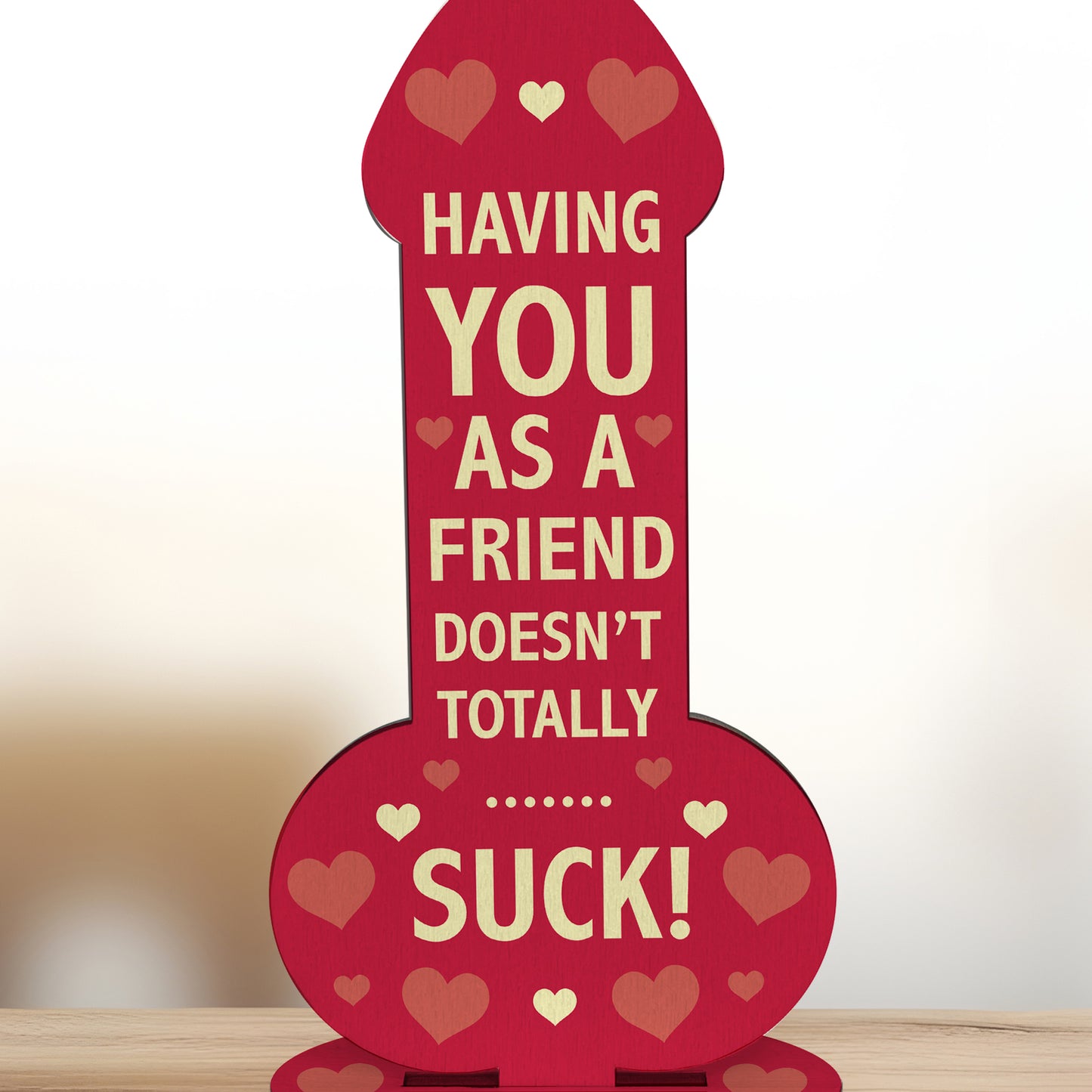 Funny Rude Best Friend Plaque Novelty Friendship Gift For Women
