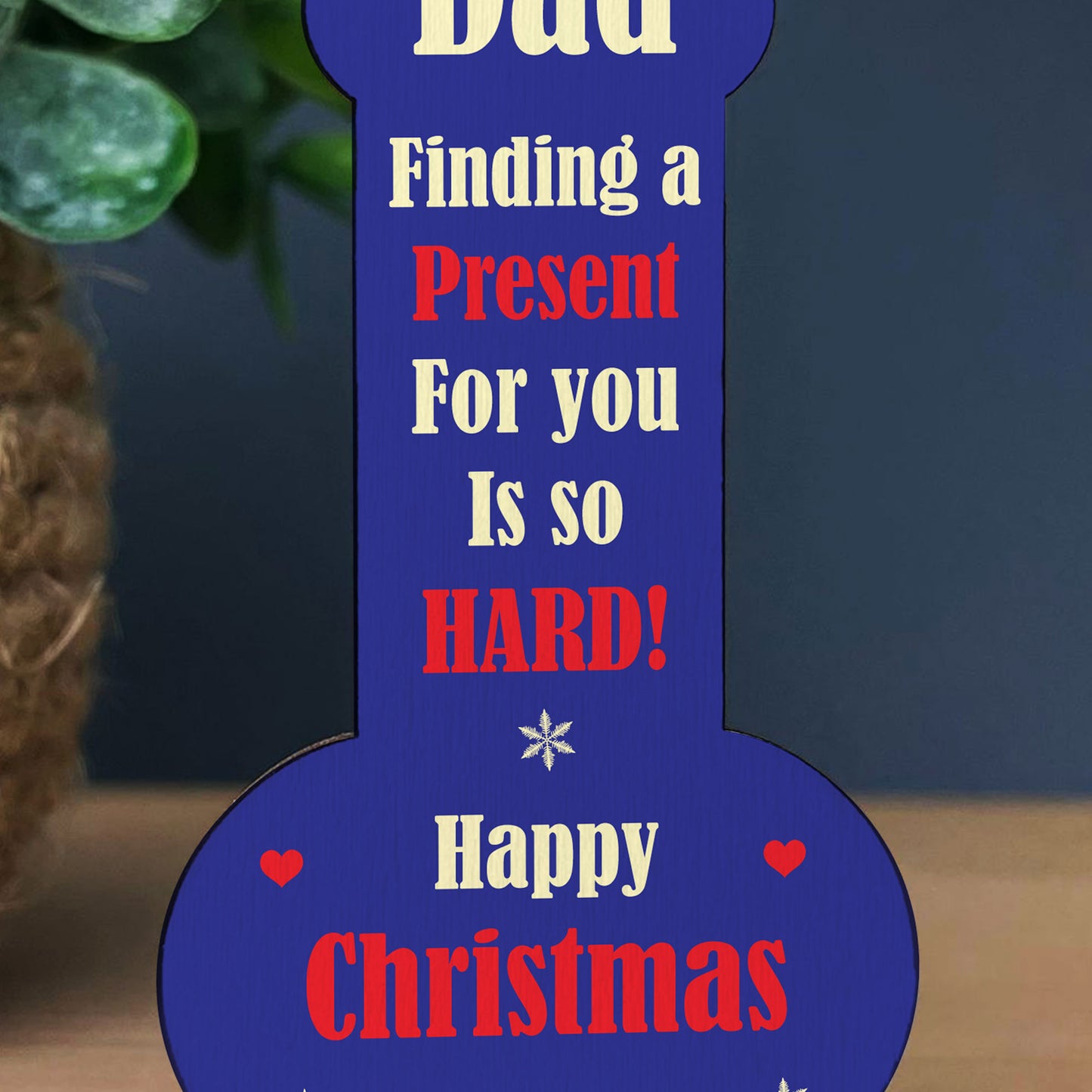 FUNNY JOKE Dad Gifts Christmas Gift For Dad Humour Gift For Her