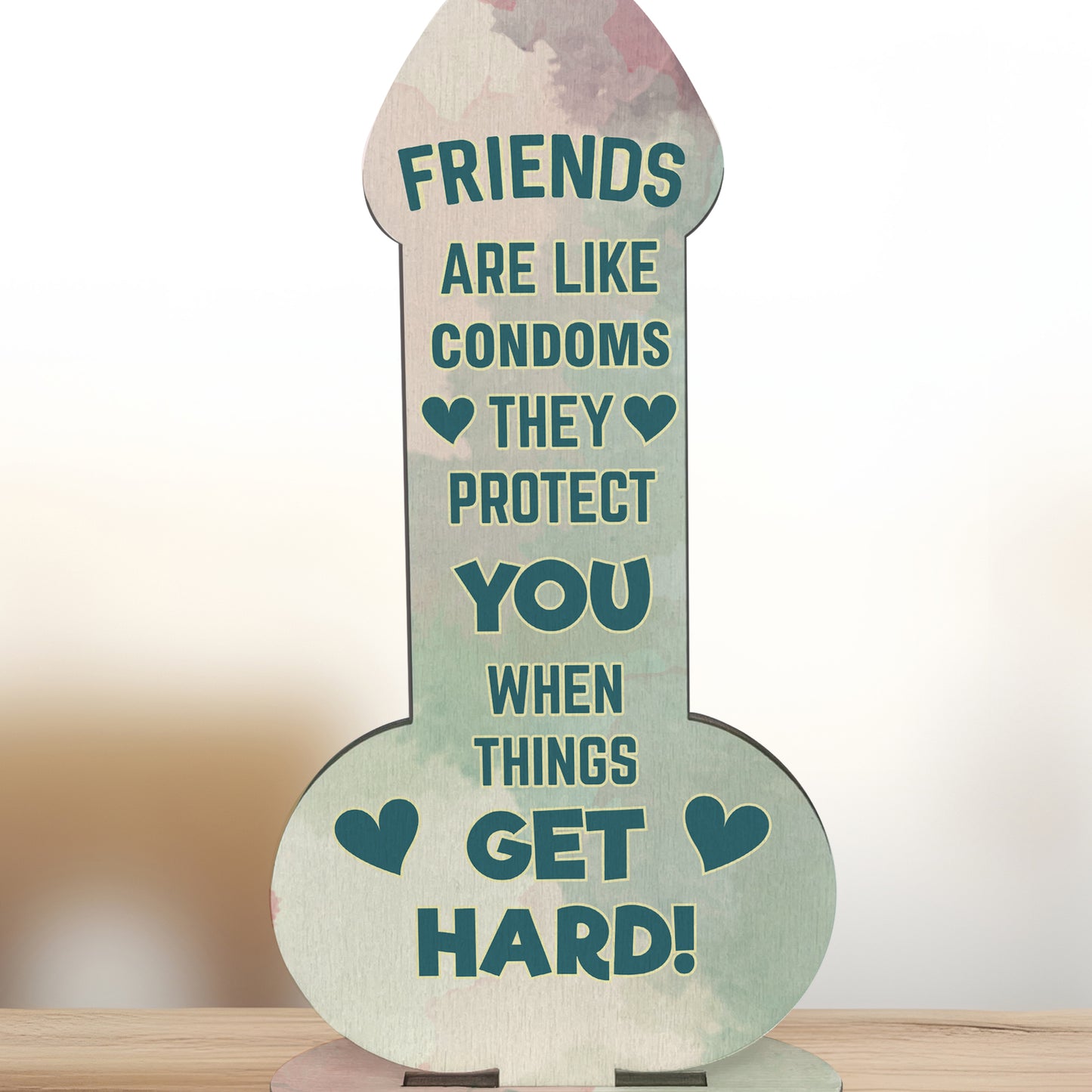 Funny Friendship Plaque Novelty Humour Rude Birthday Gift
