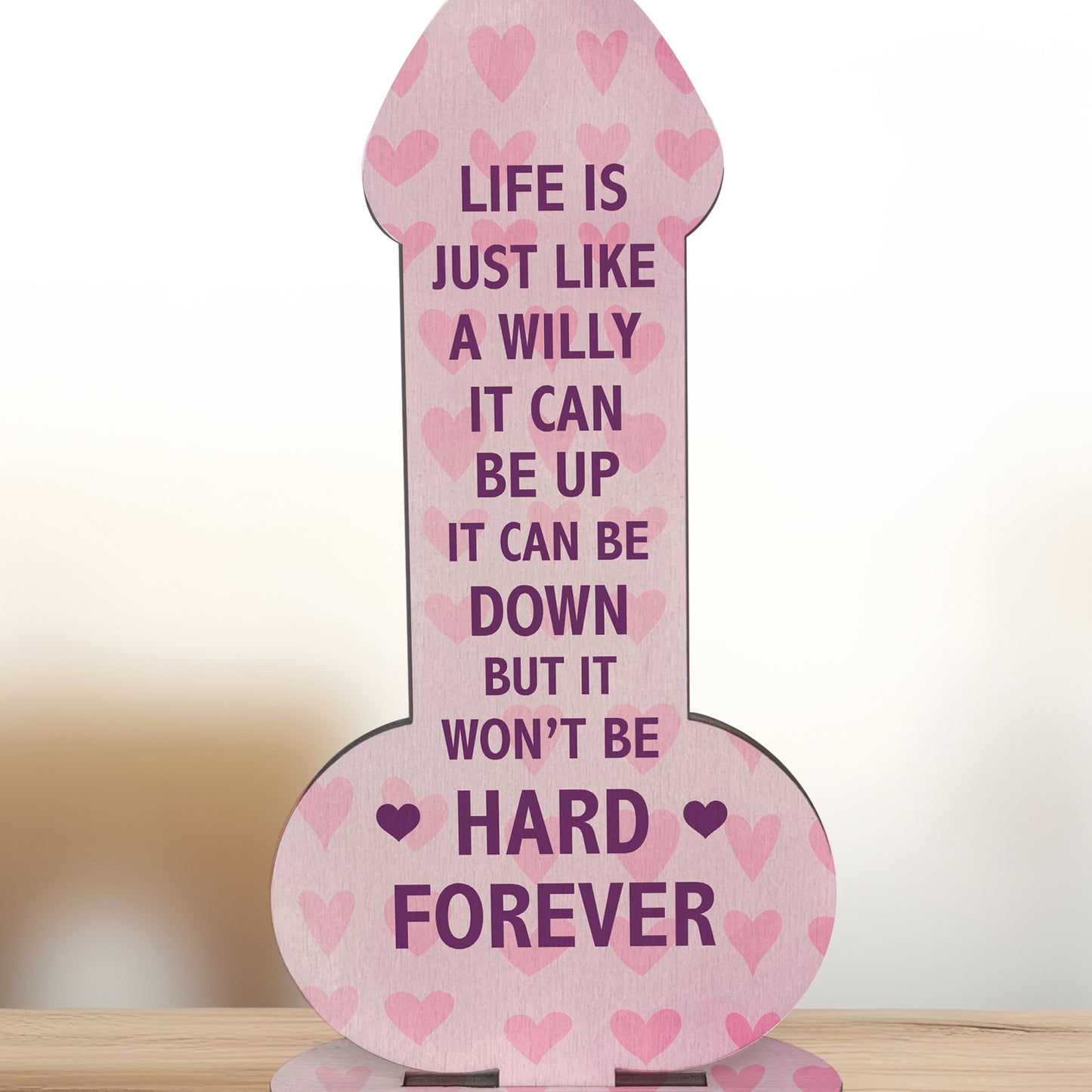 Funny Best Friend Sign Rude Friendship Gift For Him Her Novelty