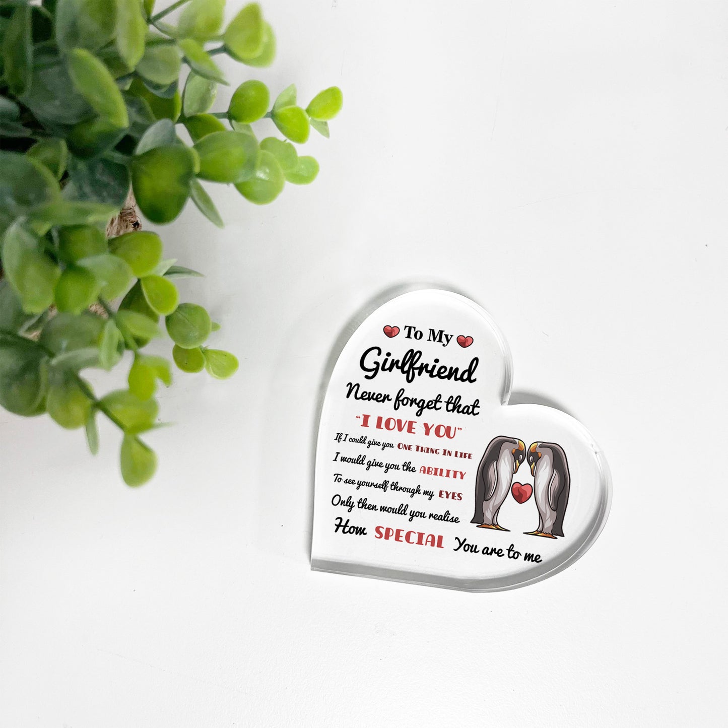 Never Forget That I Love You Gift For Girlfriend Acrylic Plaque