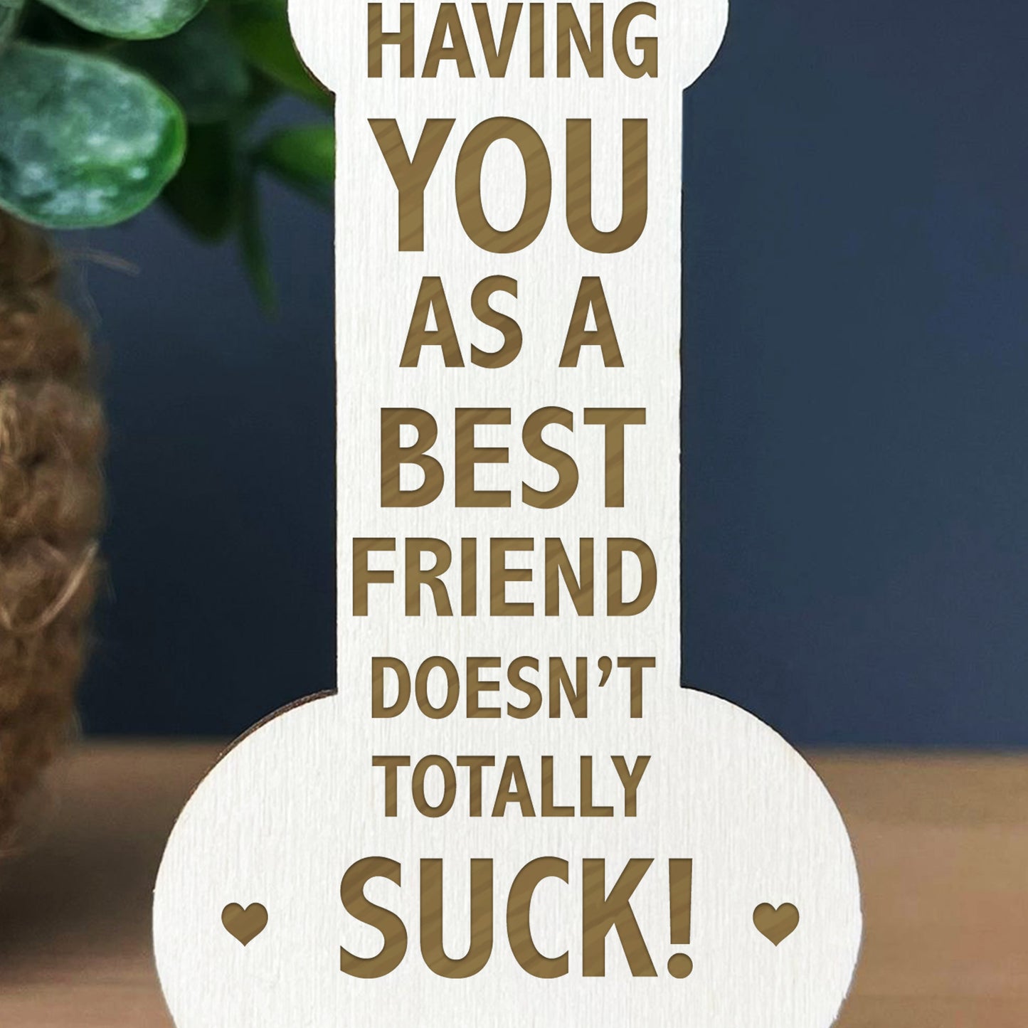 Novelty Gift For Friend Thank You Best Friend Funny Birthday
