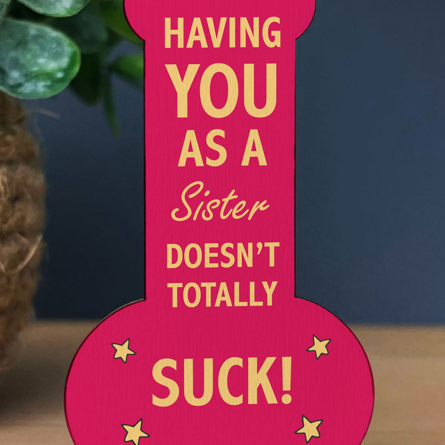 FUNNY GIFT FOR SISTER Gift For Sister Birthday Christmas Gift