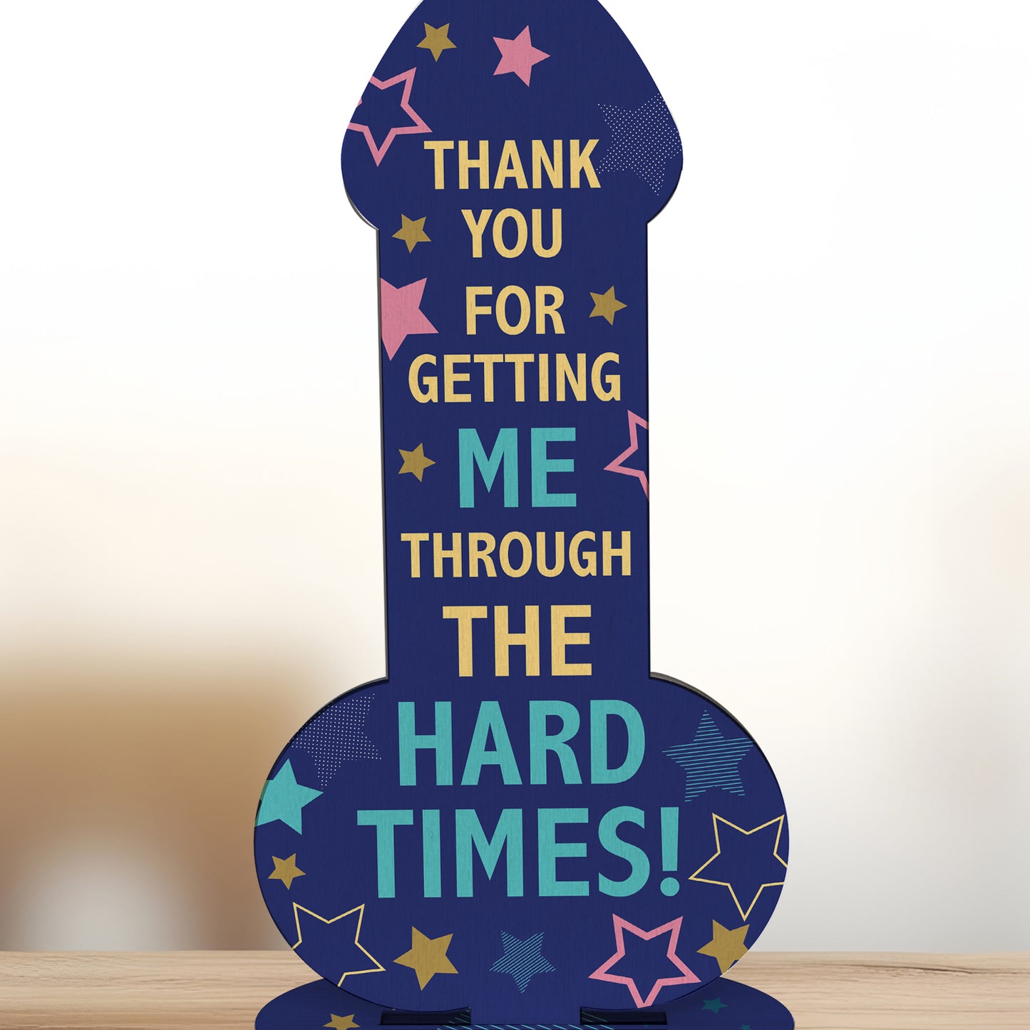 Funny Friendship Plaque Thank You Gift For Friend Novelty Rude