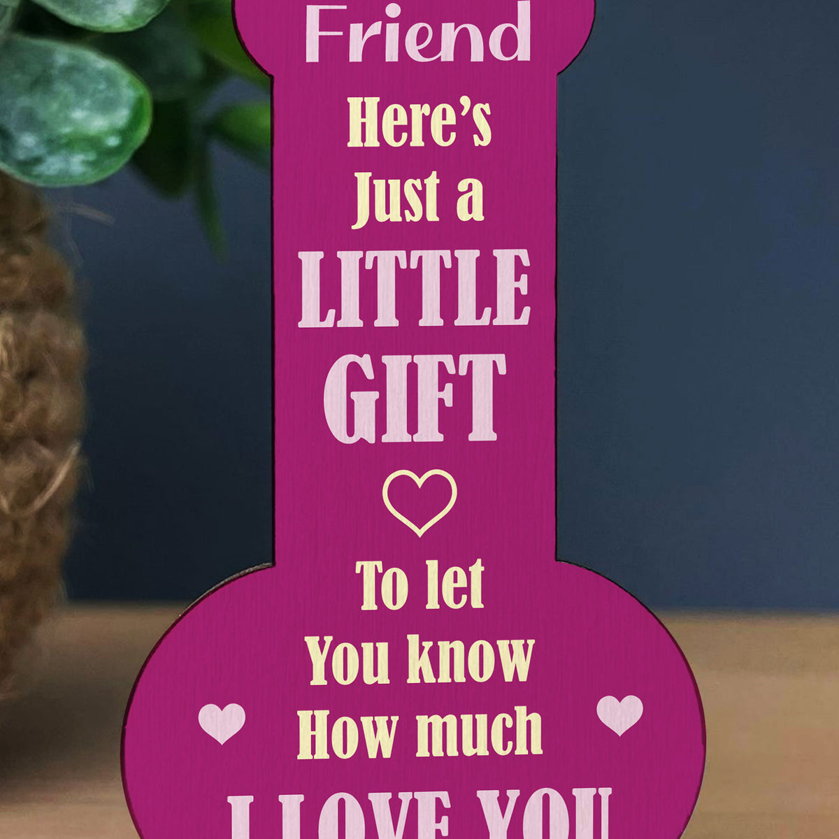 FUNNY JOKE BEST FRIEND PLAQUE Gift For Best Friend Birthday