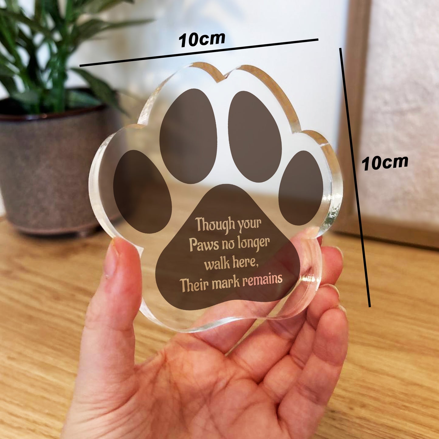 Special Dog Memorial Gift Paw Print Plaque In Memory Of Dog Cat