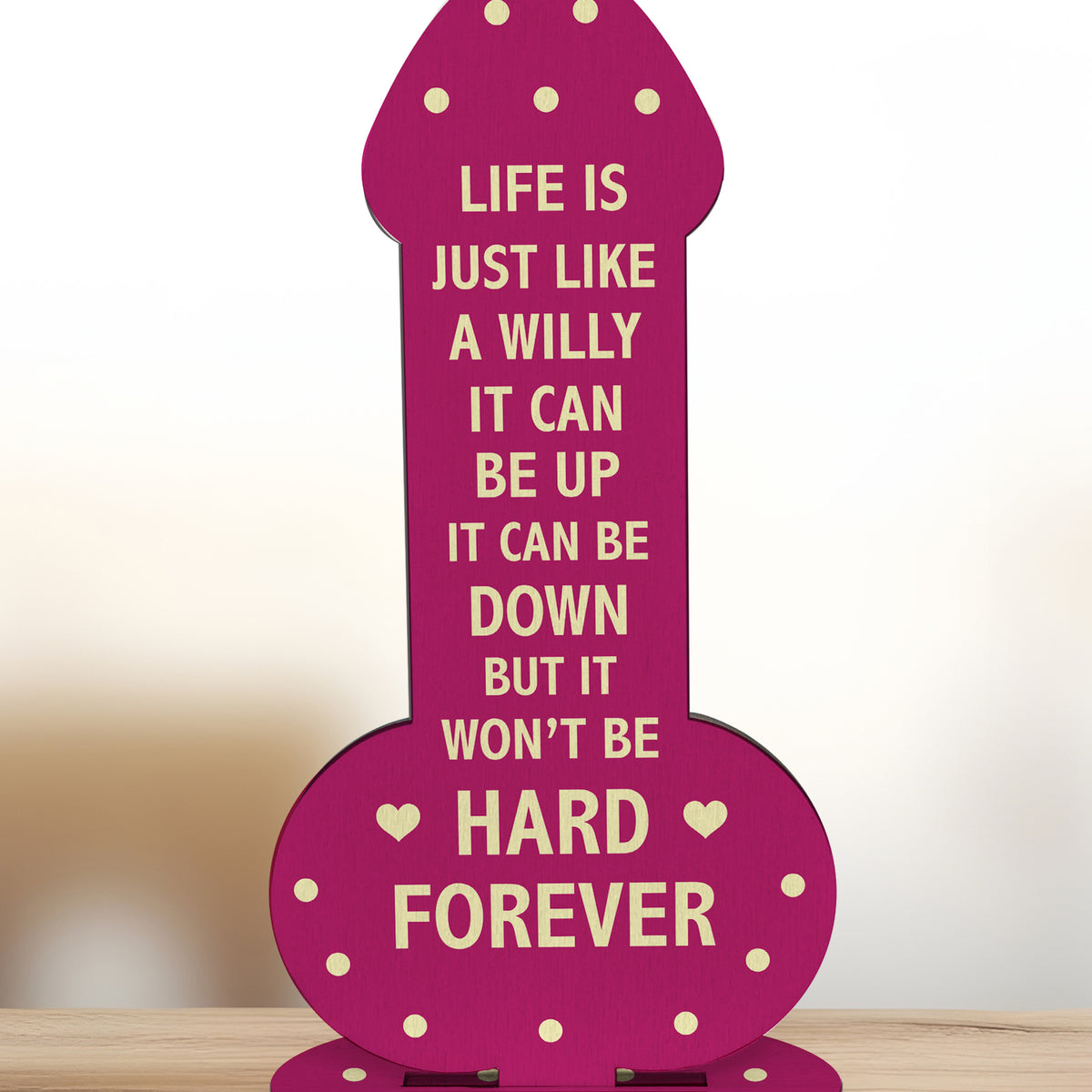 Joke Friendship Gift For Christmas Birthday Gift For Friend