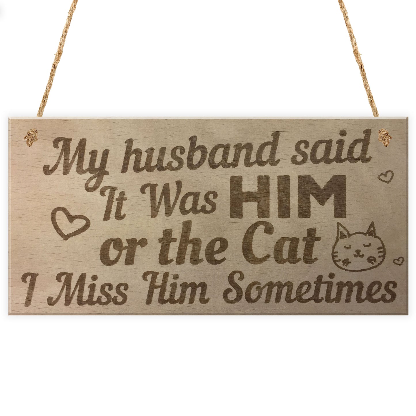 Him Or The Cat Handmade Funny Anniversary Wooden Plaques