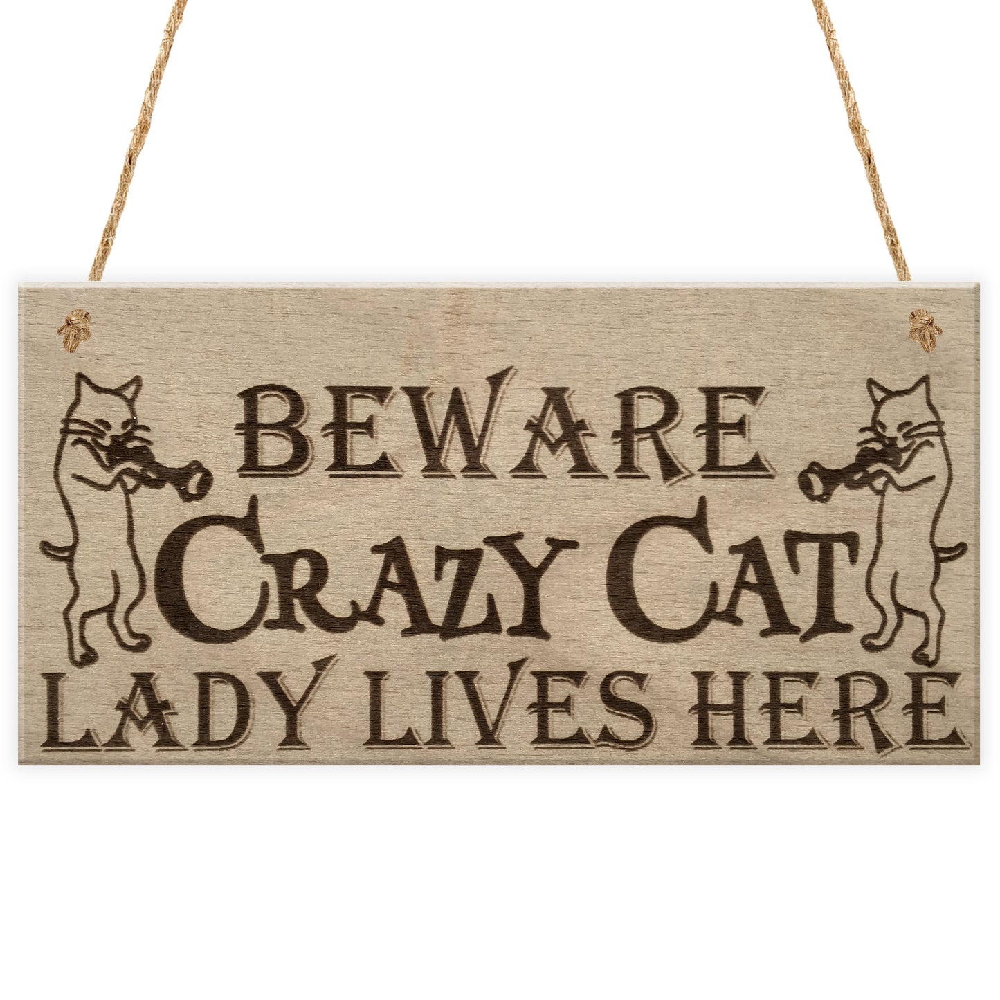 Crazy Cat Lady Cute Funny Gift Idea Animal Lover Hanging Plaque