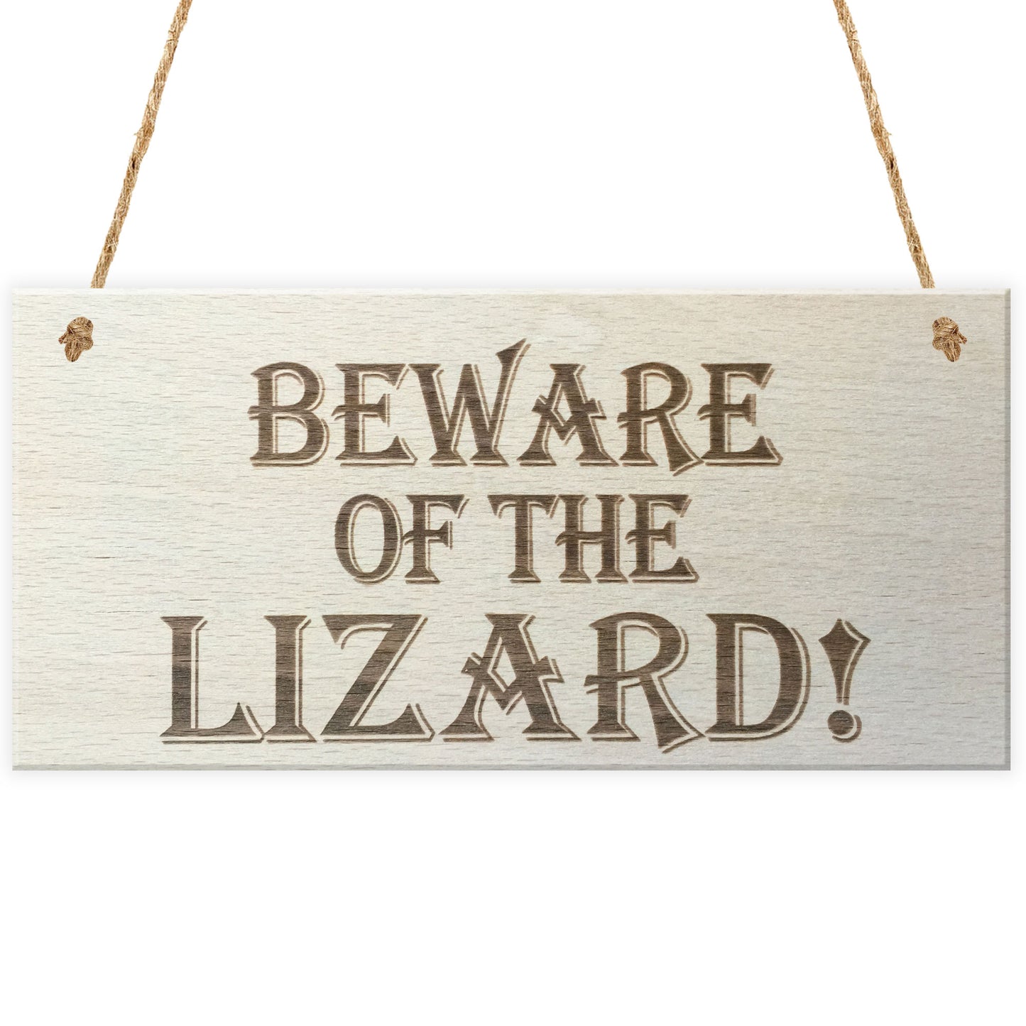 Beware Of The Lizard Wooden Hanging Novelty Plaque Gift