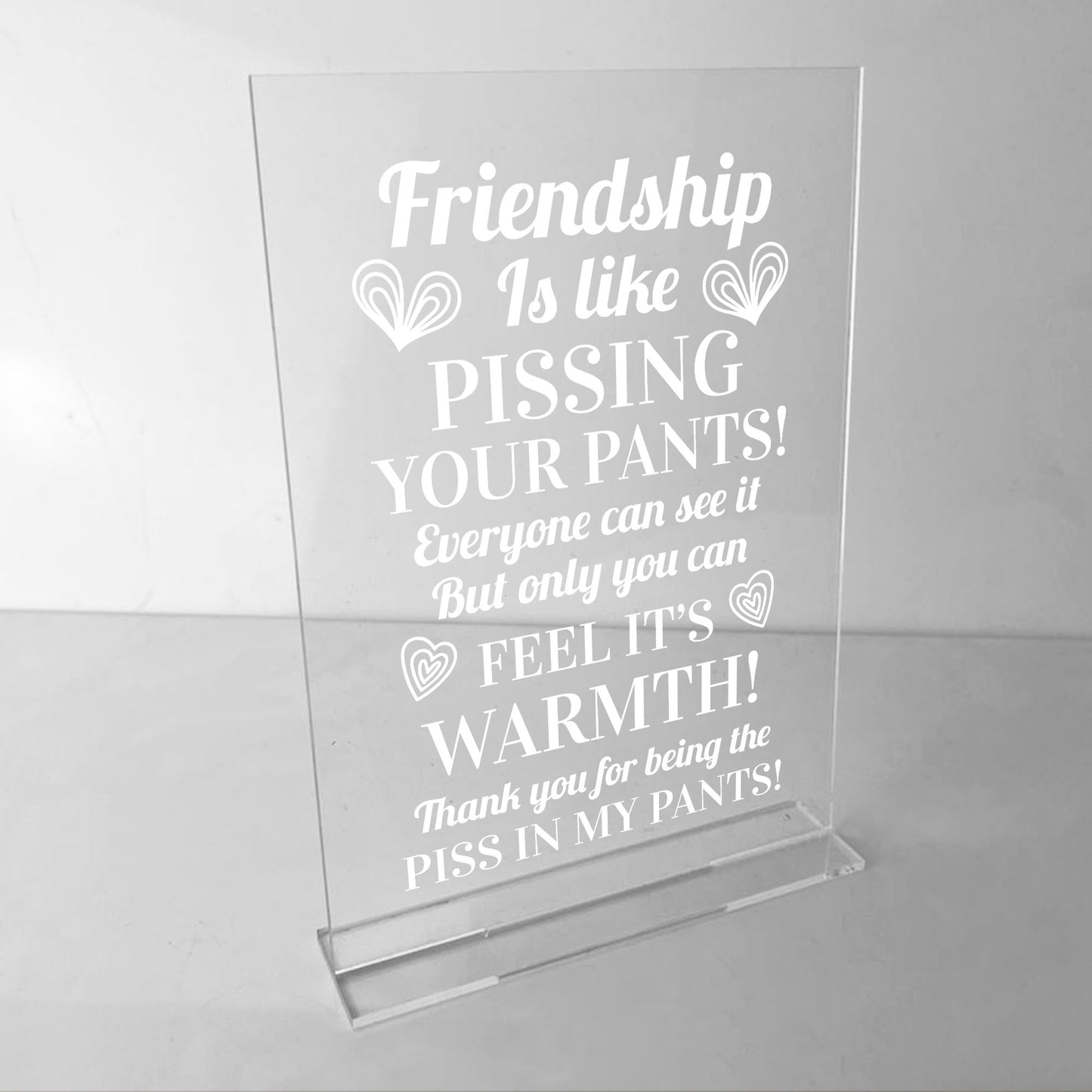 riendship Sign Funny Best Friend Birthday Christmas Gift Plaque