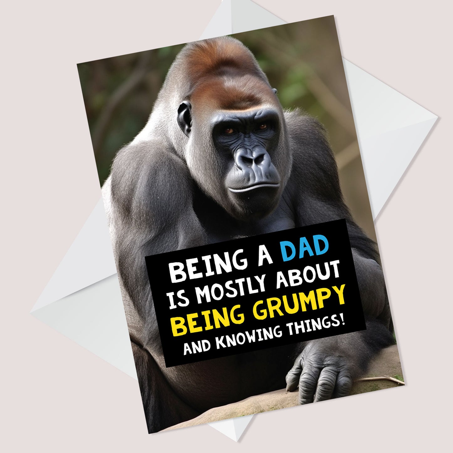 Funny Fathers Day Birthday Card For Dad Daddy Novelty Card