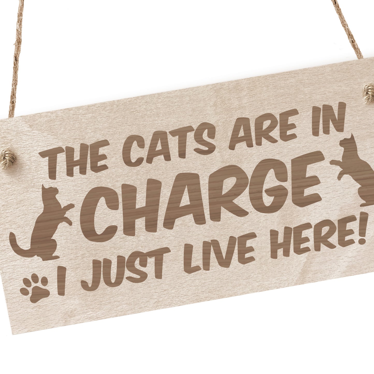 Funny Cat Gifts For Cat Lovers Hanging Wood Sign Home Decor