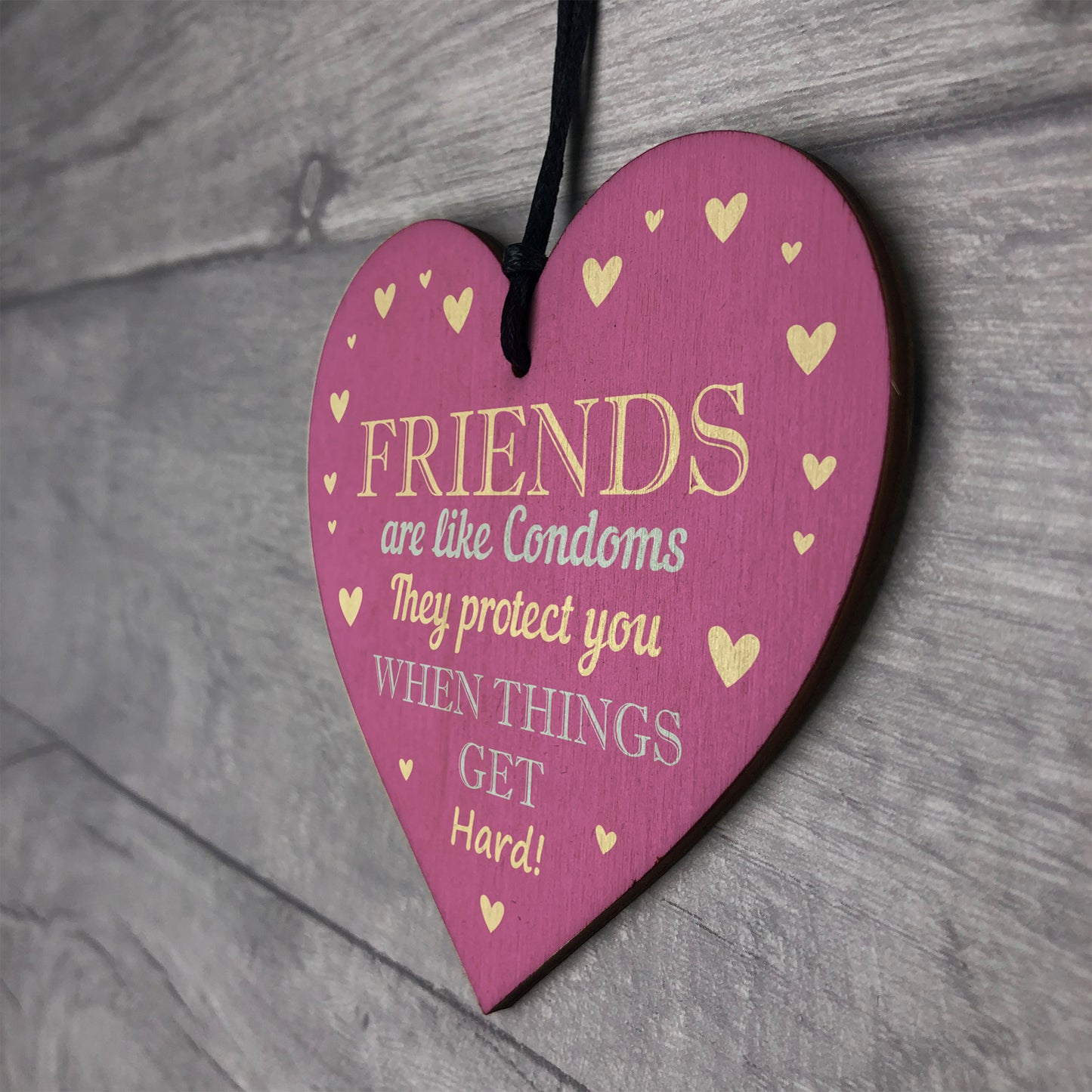 Funny Rude Friendship Sign Joke Birthday Christmas Gift