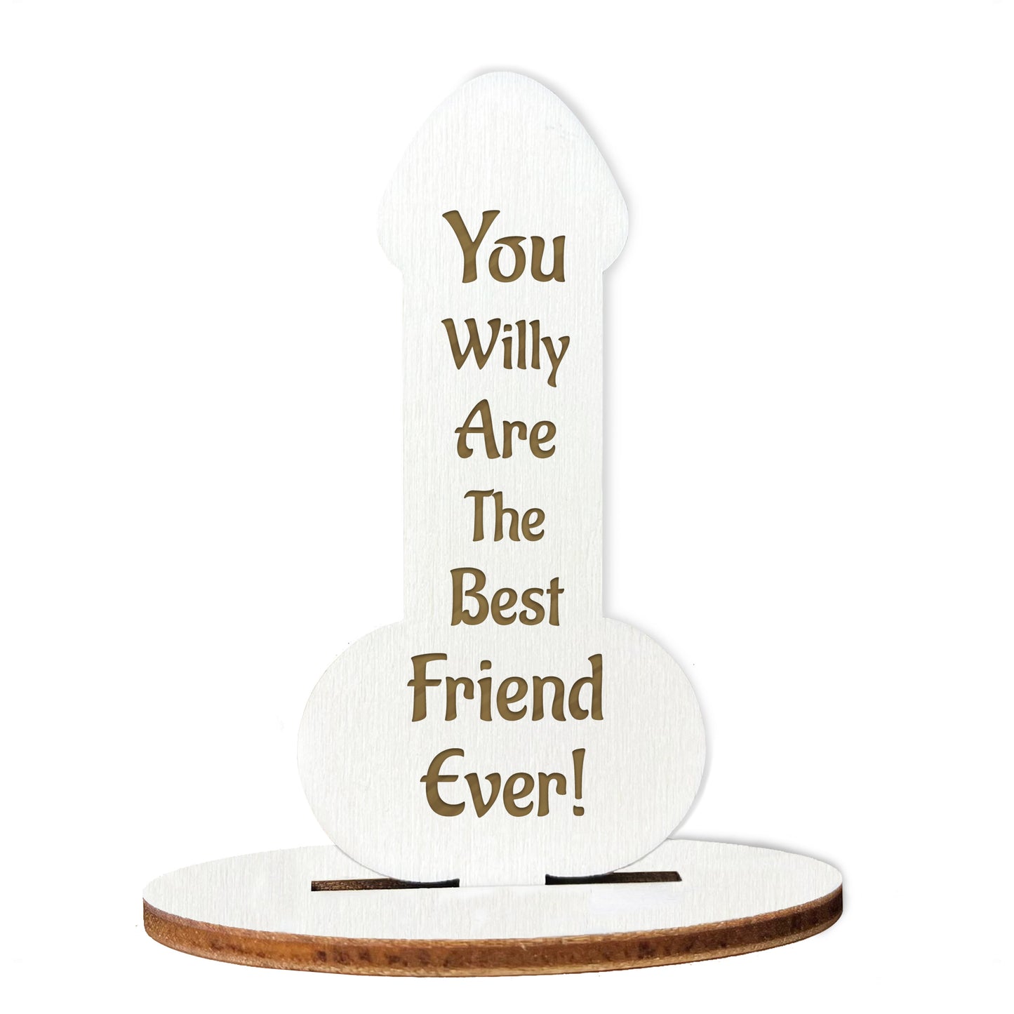 FUNNY Best Friend Gift Engraved Plaque Friendship Christmas