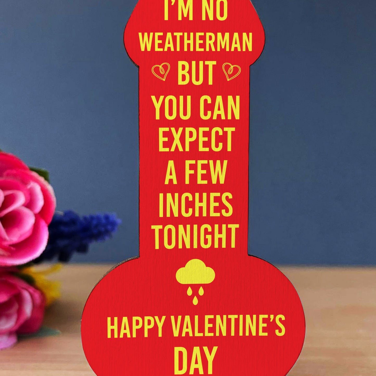 Valentines Gift For Girlfriend Wife Funny Rude Valentines Day
