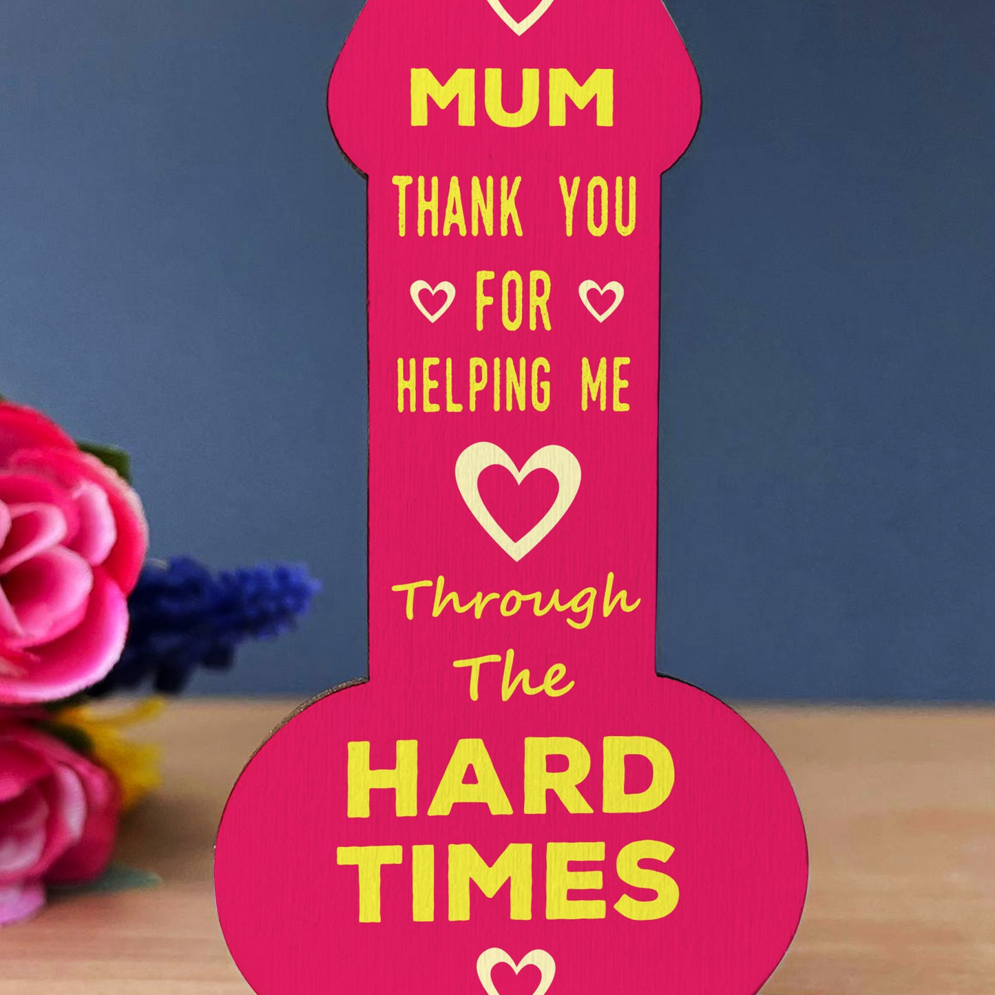Funny Mothers Day Birthday Gift For Mum Wooden Plaque Mum Gift