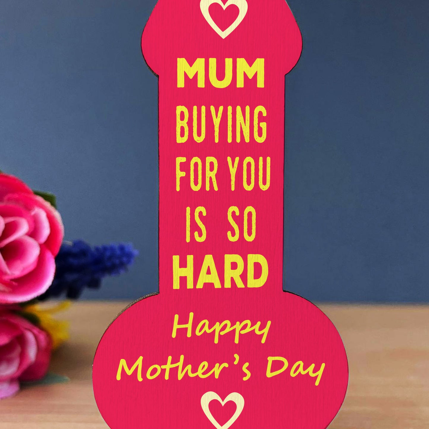 Funny Mothers Day Gifts For Mum Plaque Mothers Day Gift Idea