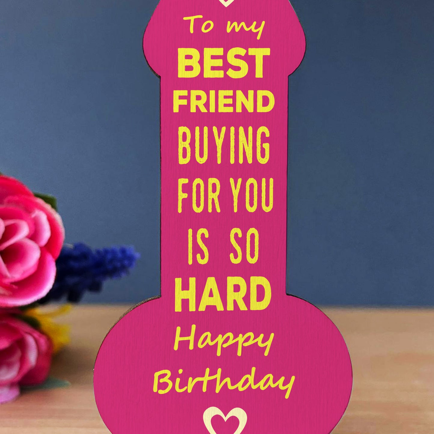 Funny Friendship Plaque Joke Novelty Birthday Gift For Friend