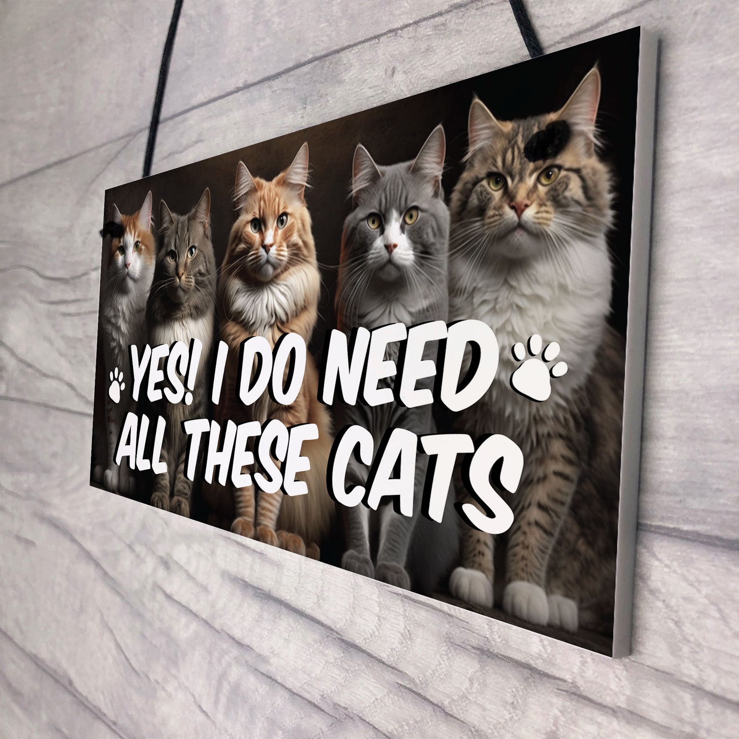 Funny Cat Gift For Cat Lovers Gift For Women NEED ALL THESE CATS