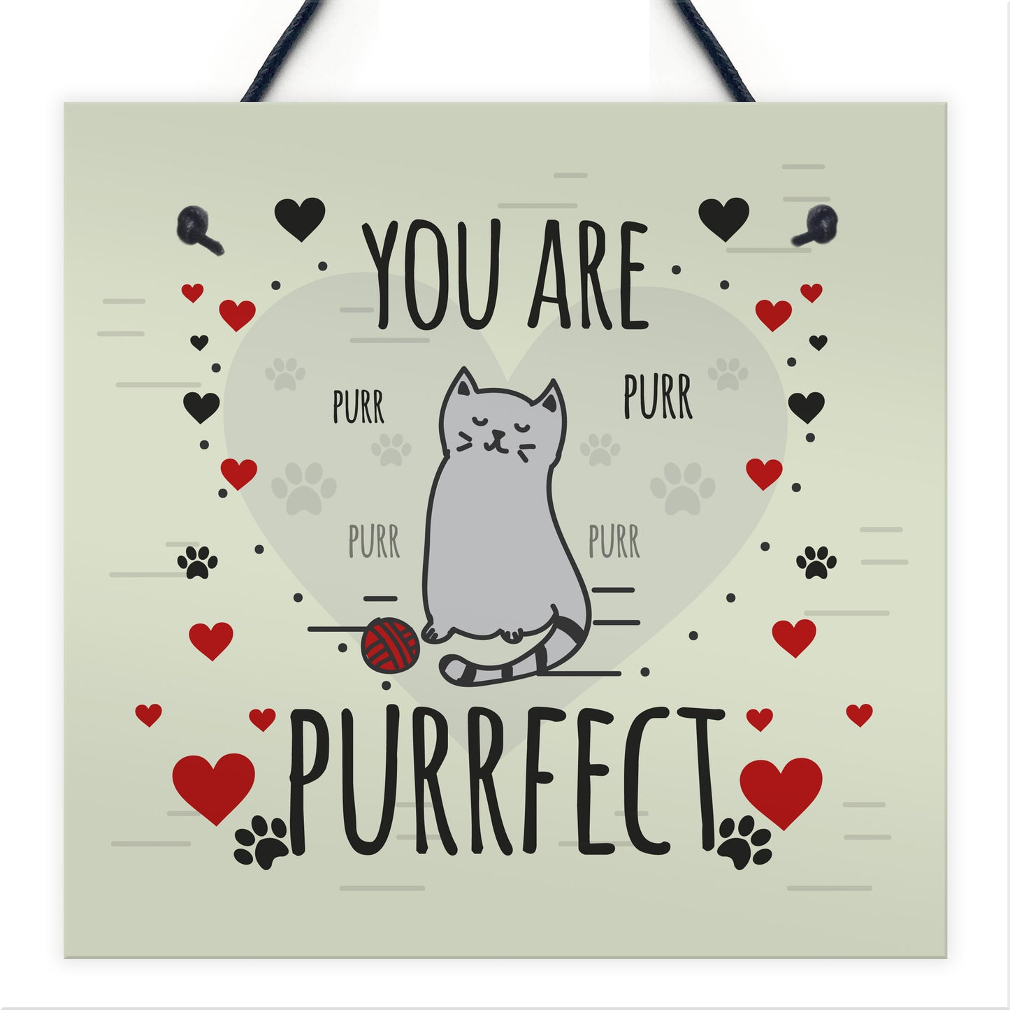 Funny Cats Sign Home Decor Crazy Cat Lady Sign Pet Lover Gifts