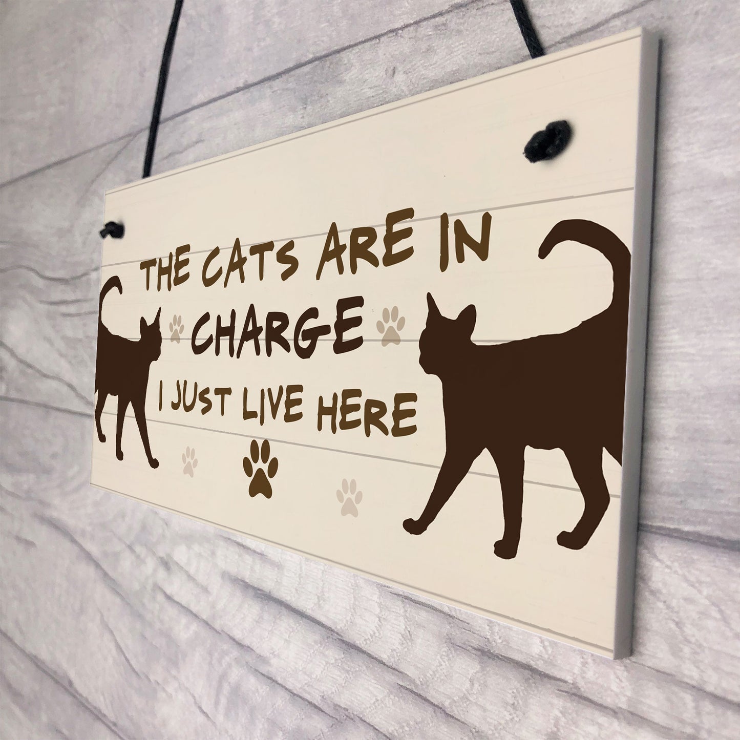 The Cats Are In Charge Hanging Sign Funny Cat Gift Home Decor