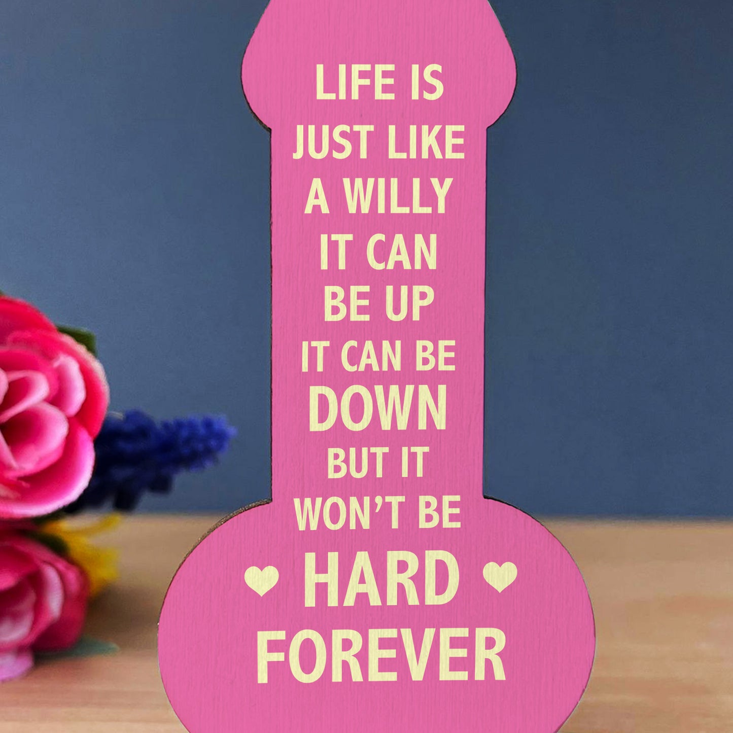 Motivational Plaque Funny Friendship Plaque Novelty Birthday