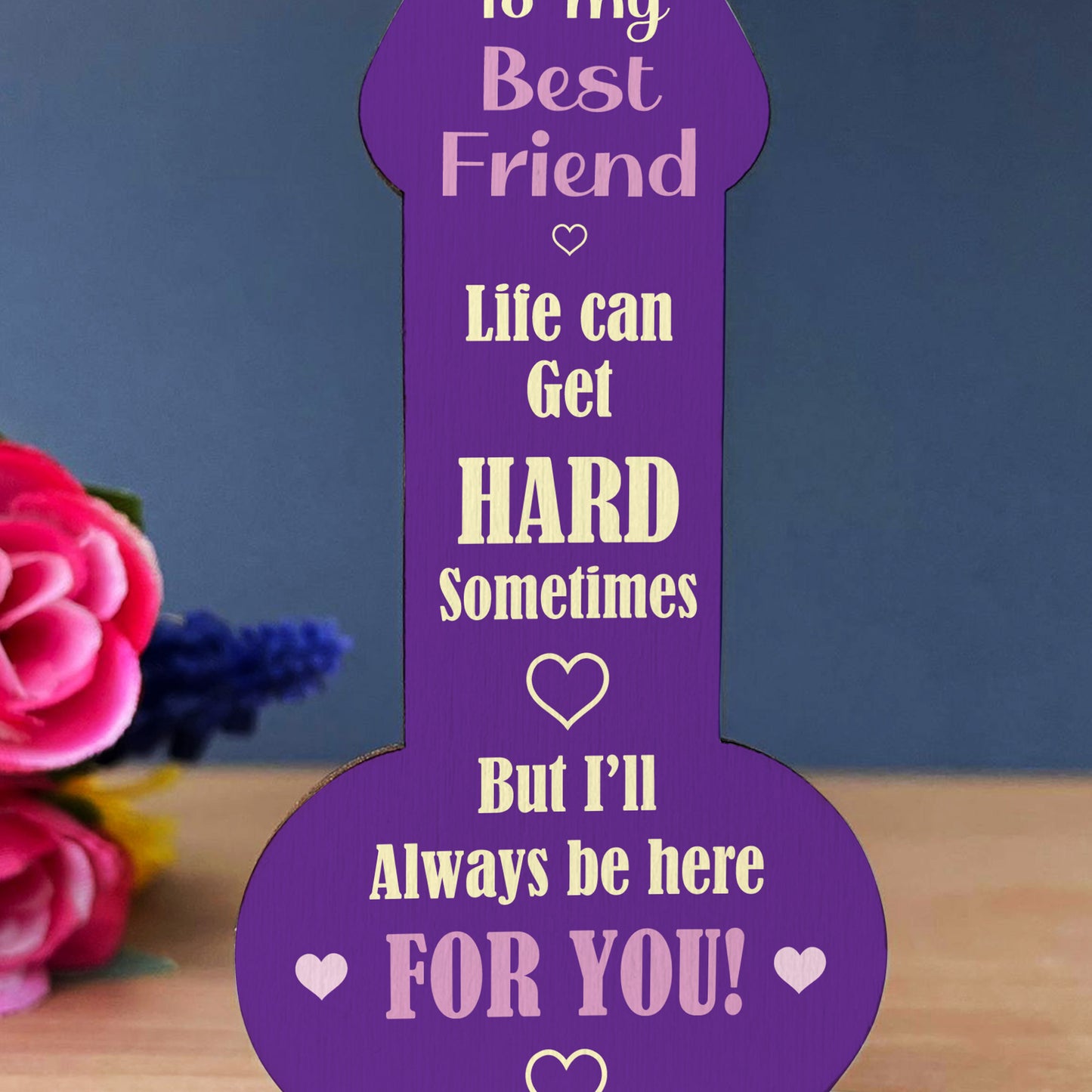 Funny Best Friend Gift Friendship Rude Plaque Gift For Friend