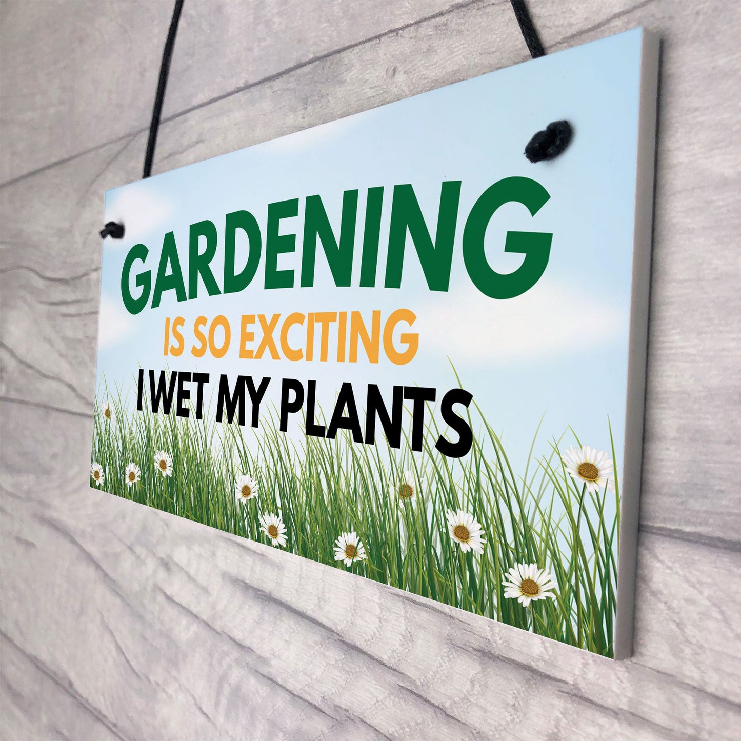 Funny Garden Signs I WET MY PLANTS Summerhouse Garden Shed Sign