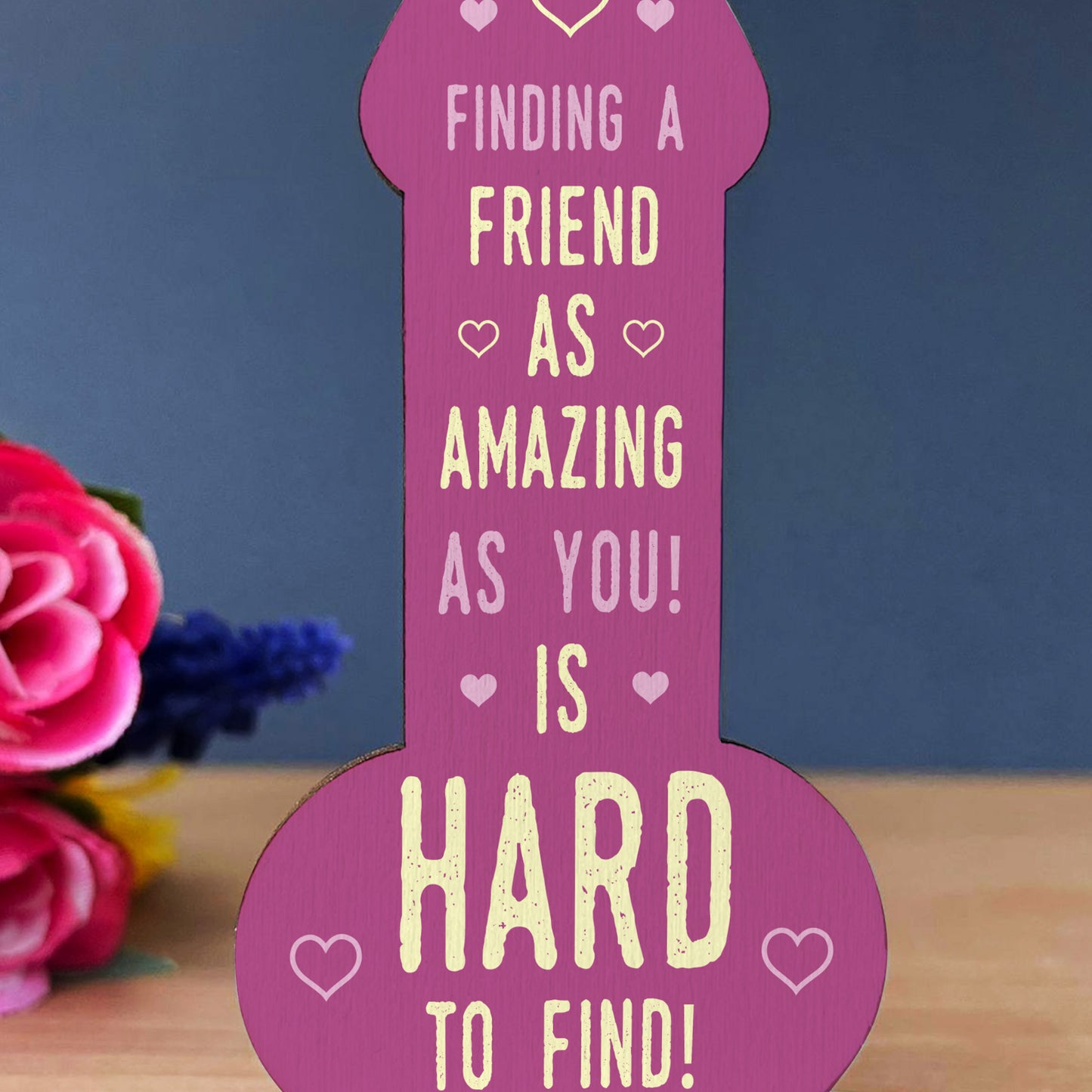 Funny Rude Friendship Plaque Novelty Plaque Birthday Friend Joke