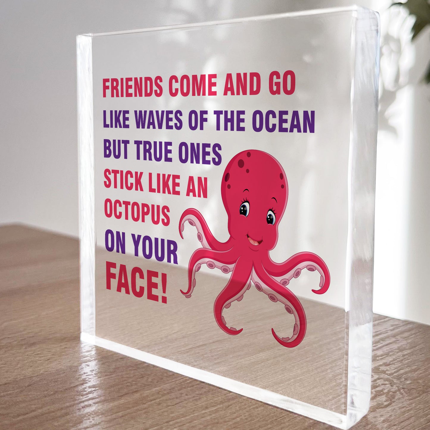 Friendship Keepsake Plaque Best Friend Gifts Thank You Birthday