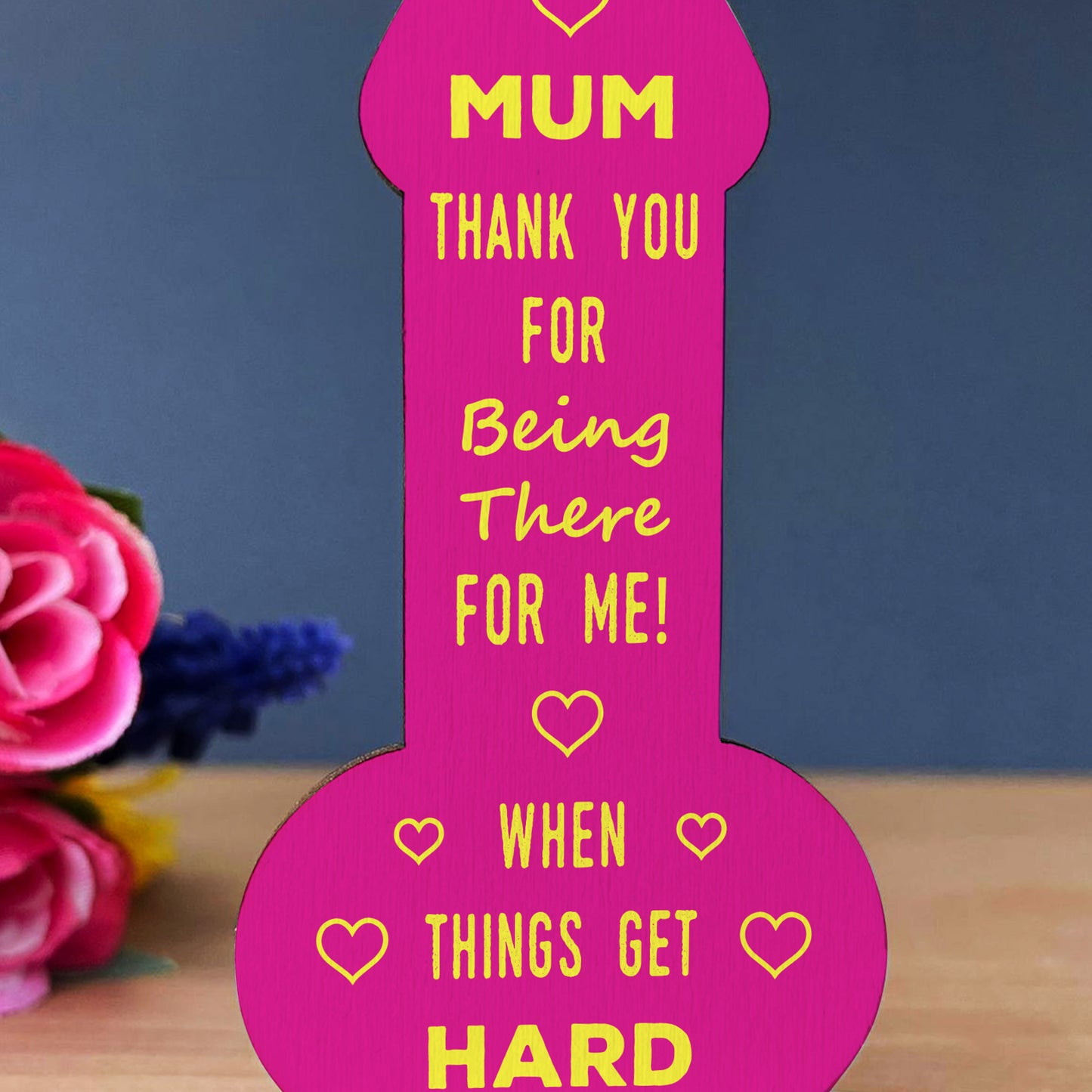 Funny Gift For Mothers Day Birthday Gift Wooden Plaque Mum Gift