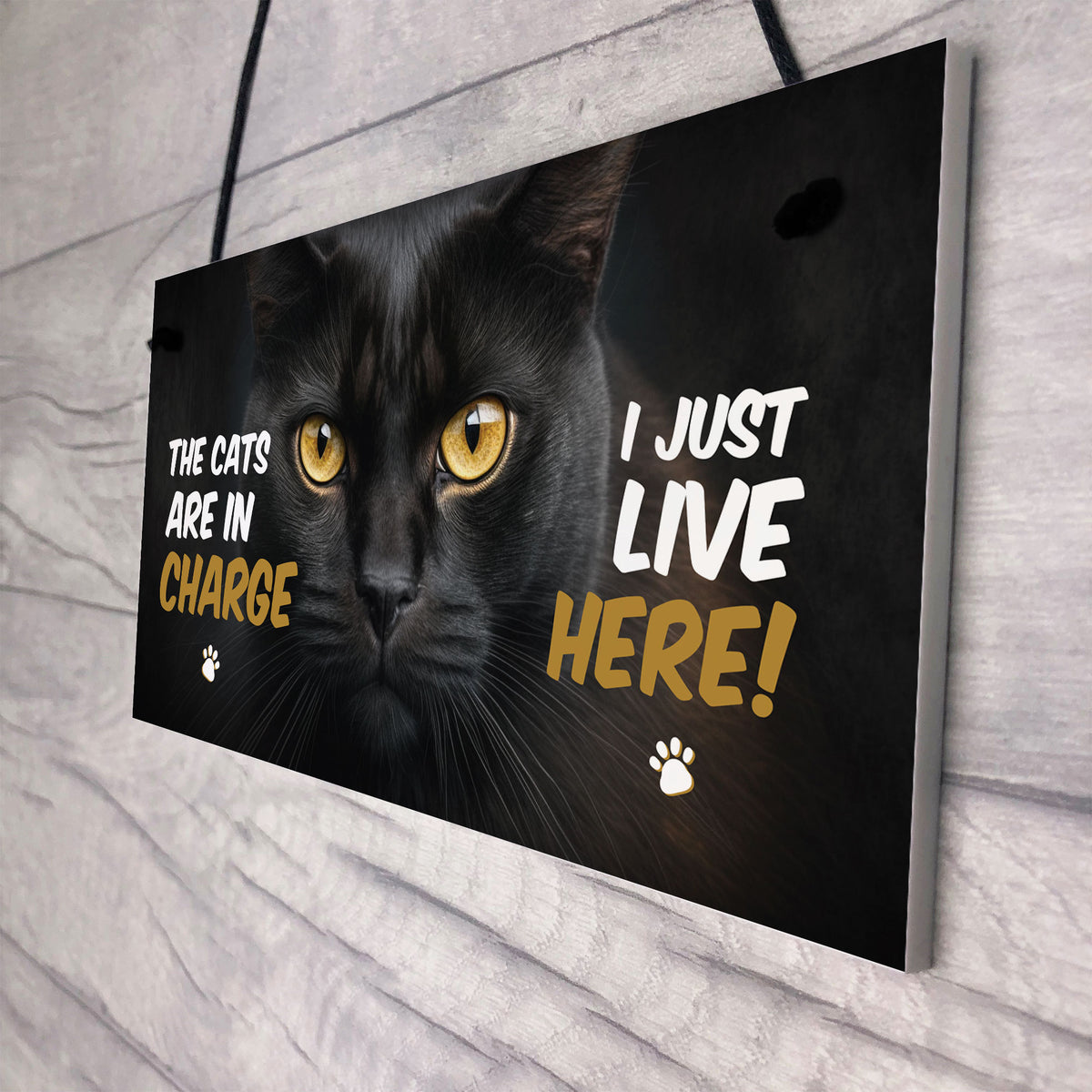 Funny Joke The Cats Are In Charge Cat Gifts For Cat Lovers