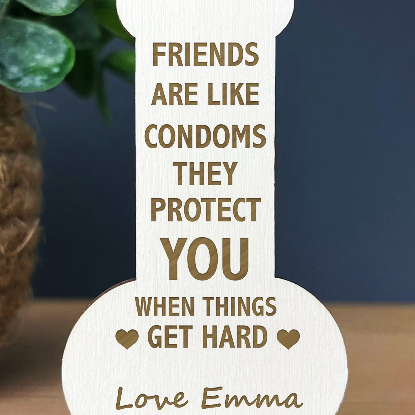 Funny Friendship Plaque Novelty Birthday Christmas Gift