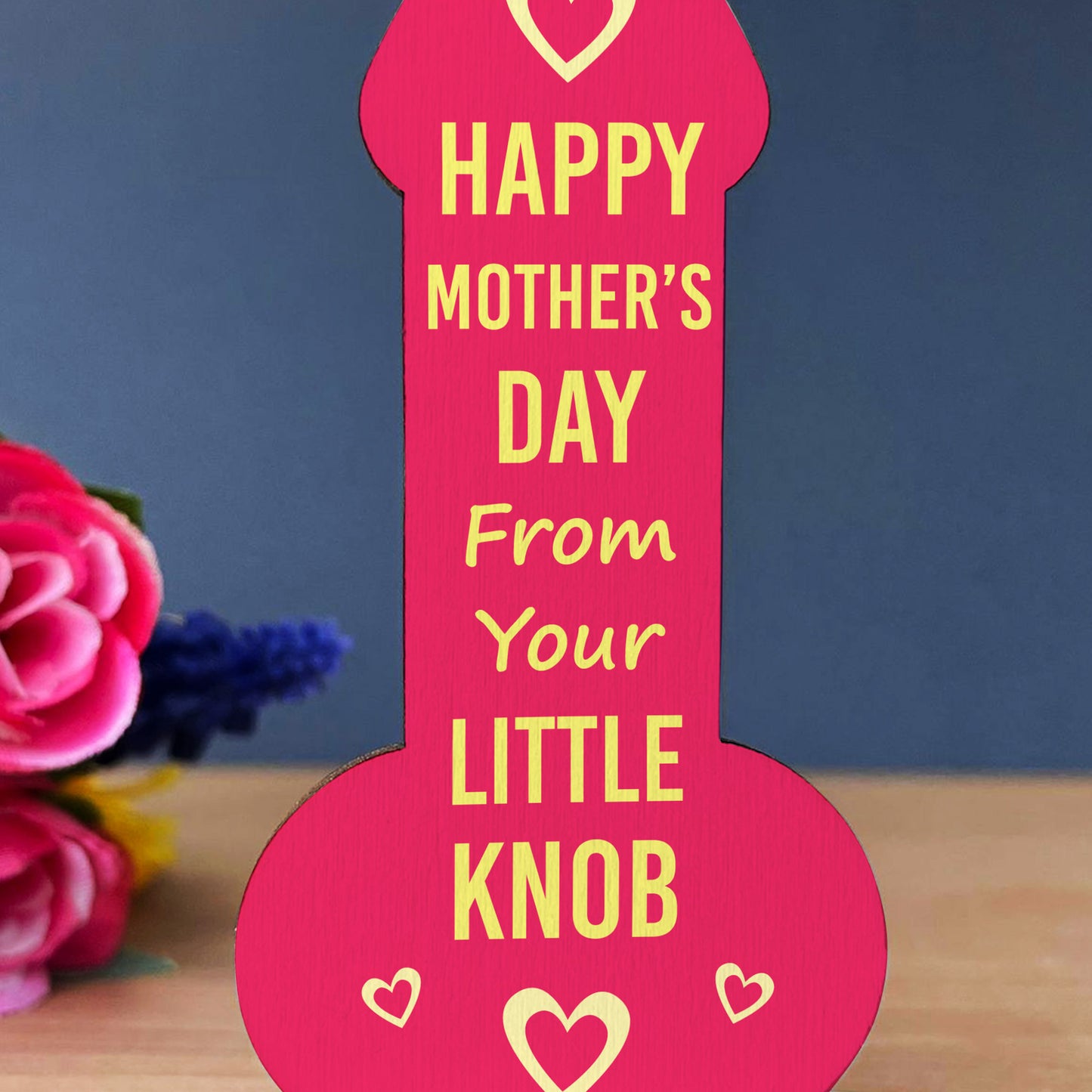 Funny Mothers Day Gift From Son Wood Plaque Joke Humour