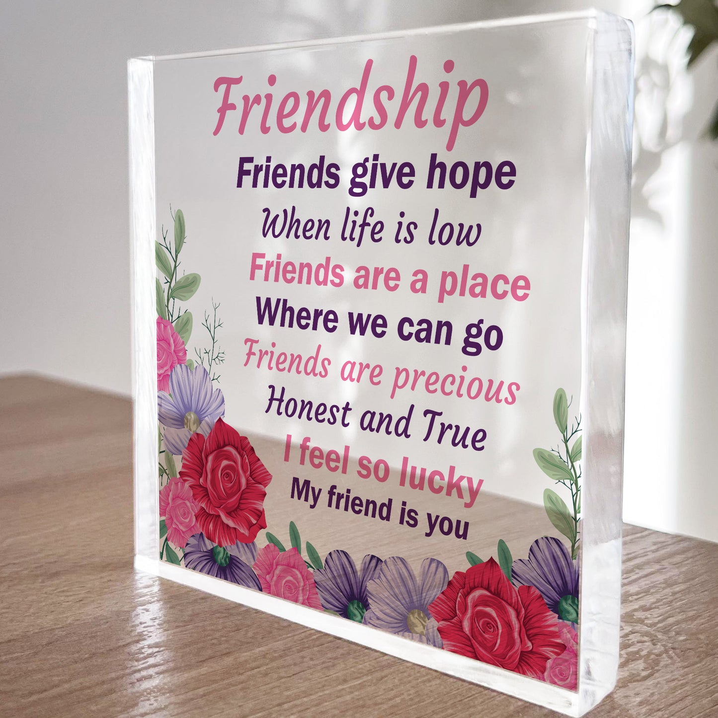 Friendship Gift For Women Acrylic Block Friendship Sign