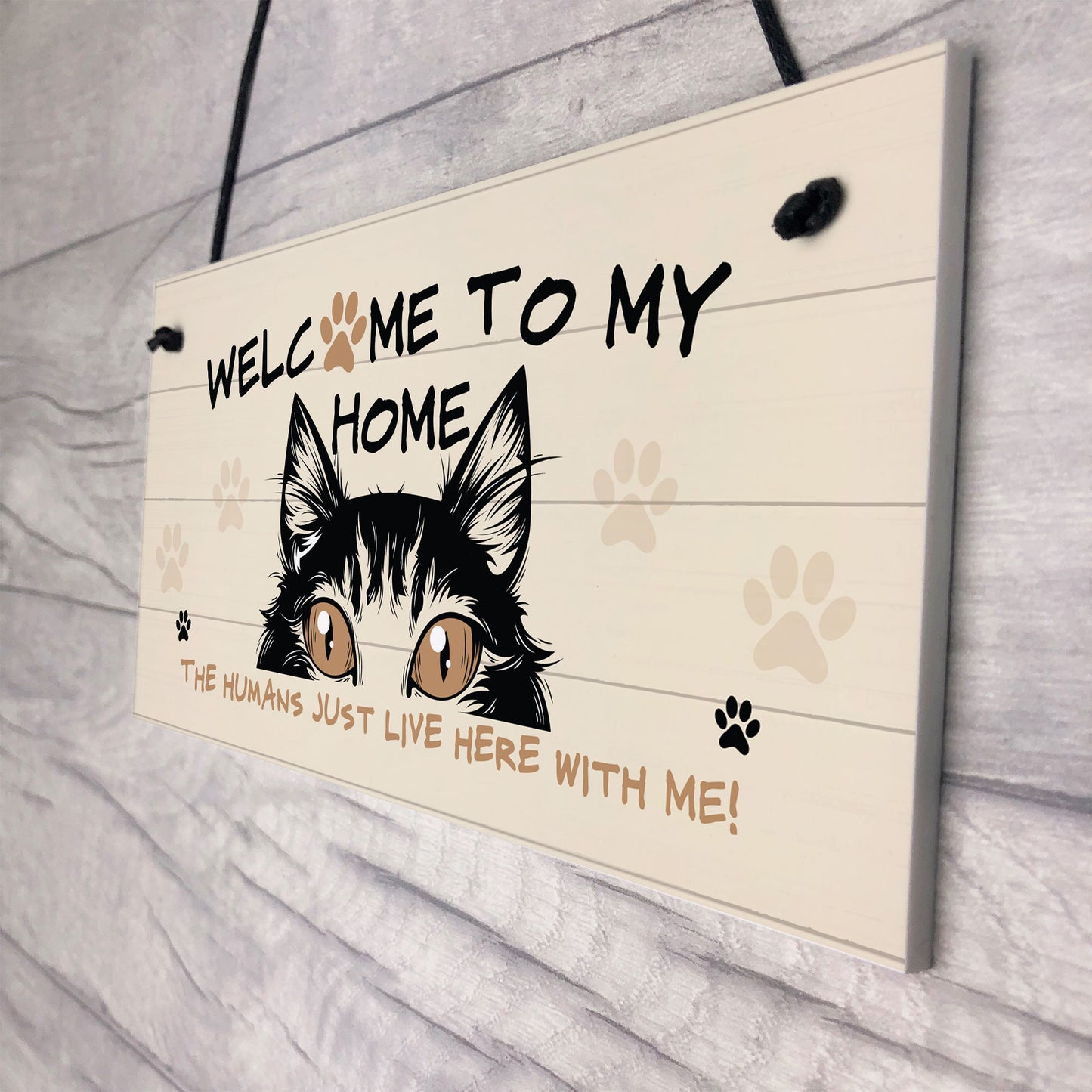 Funny Cat Sign Welcome Sign Cat Lover Gift For Women Home