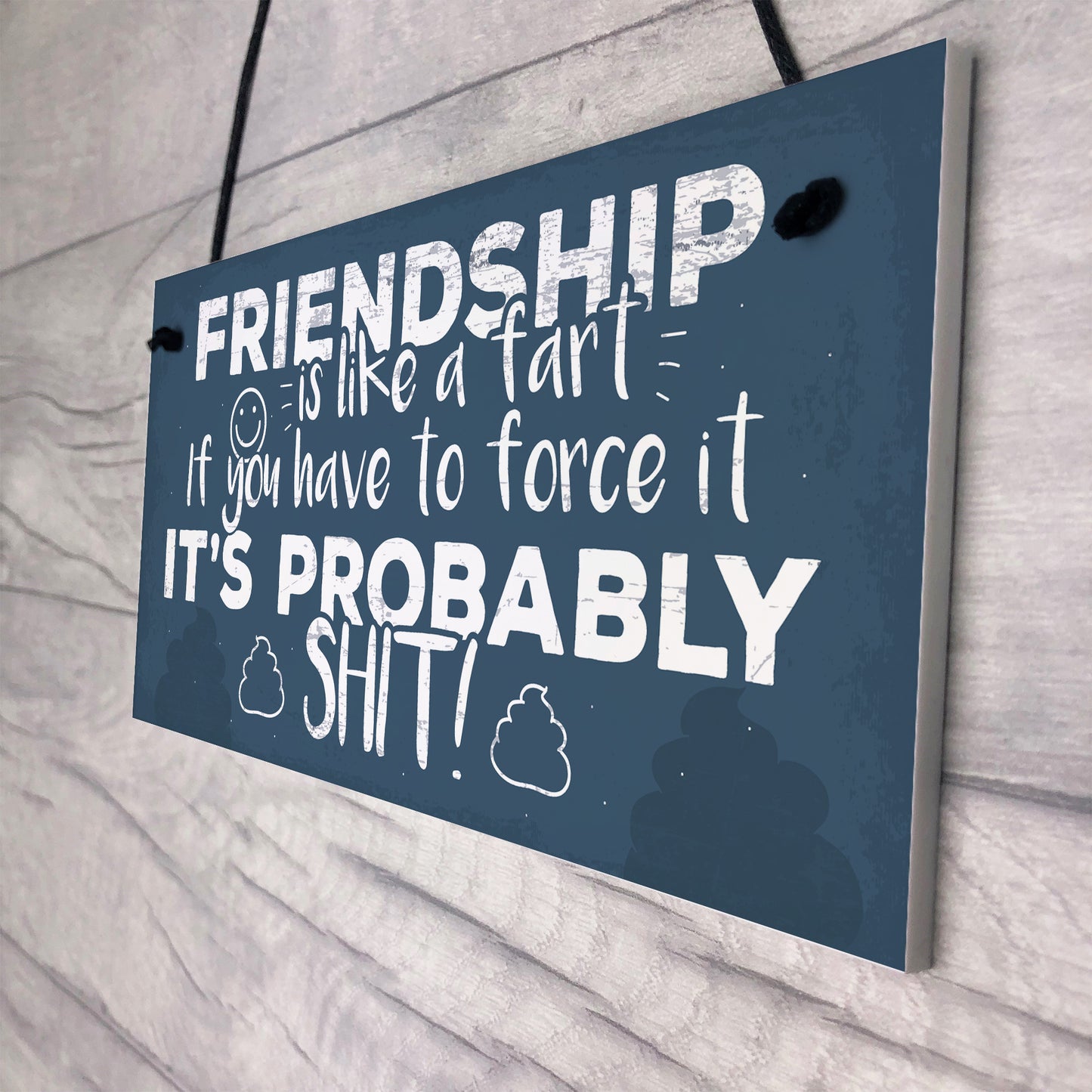 Funny Friendship Sign Novelty Best Friend Plaque Birthday Gift