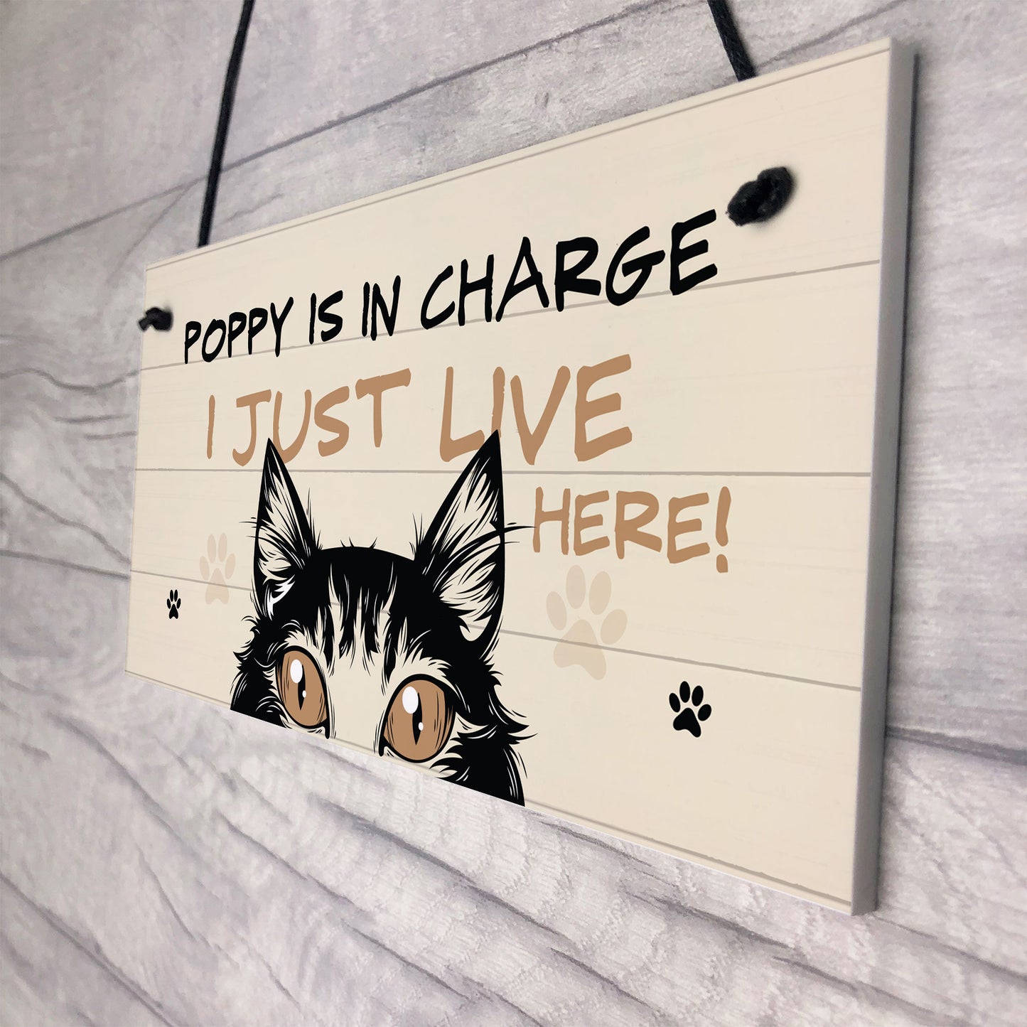 Funny Cat Sign In Charge Cat Lovers Gift For Women Home Decor