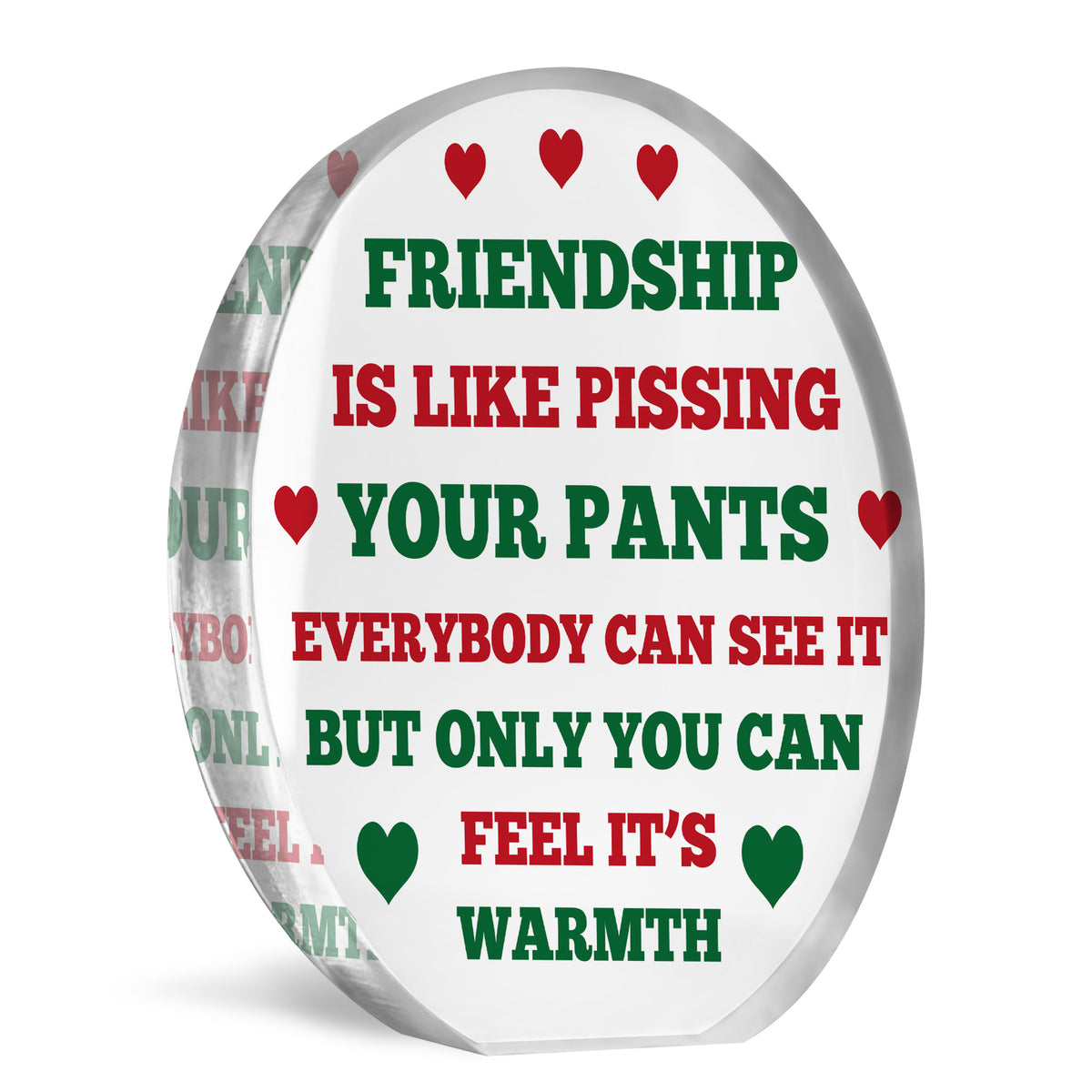 FUNNY Friendship Gift For Him Her Acrylic Plaque Special