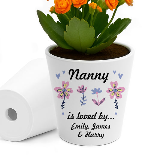 Nanny Gifts For Birthday Christmas Personalised Plant Pot