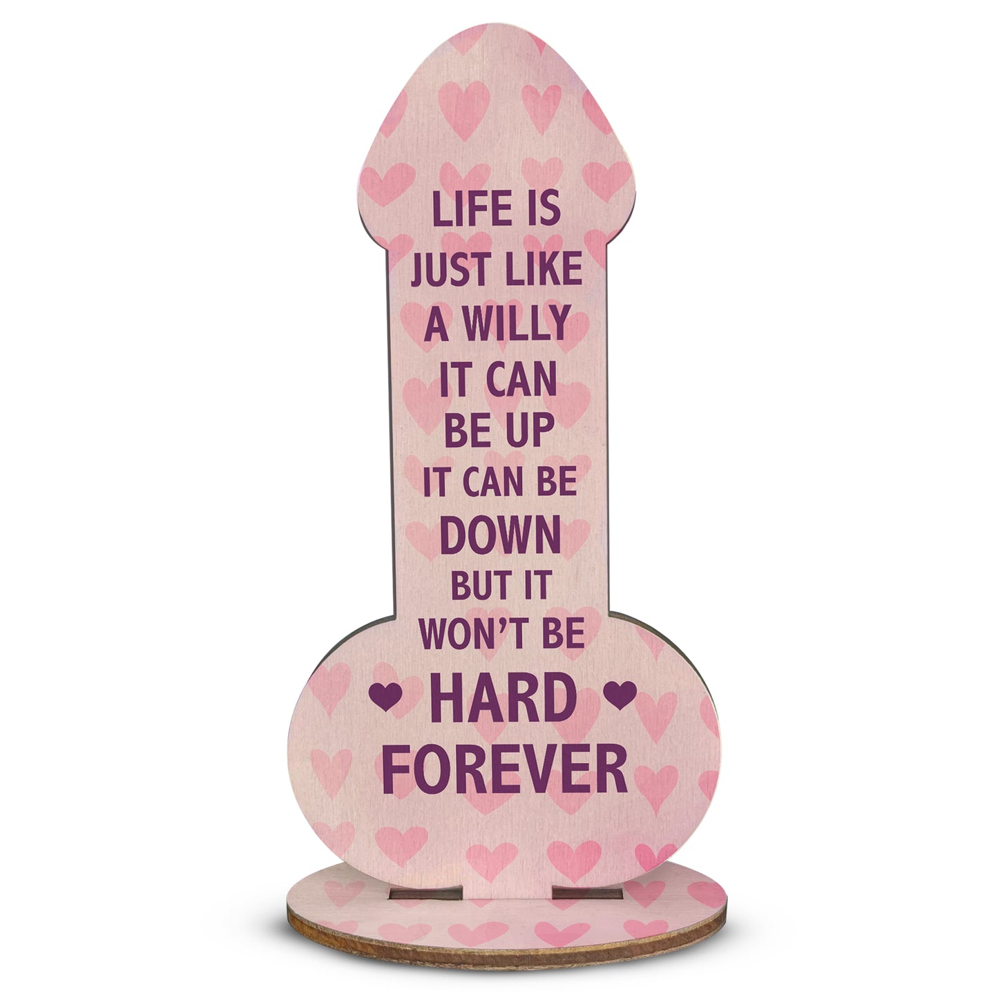 Funny Best Friend Sign Rude Friendship Gift For Him Her Novelty