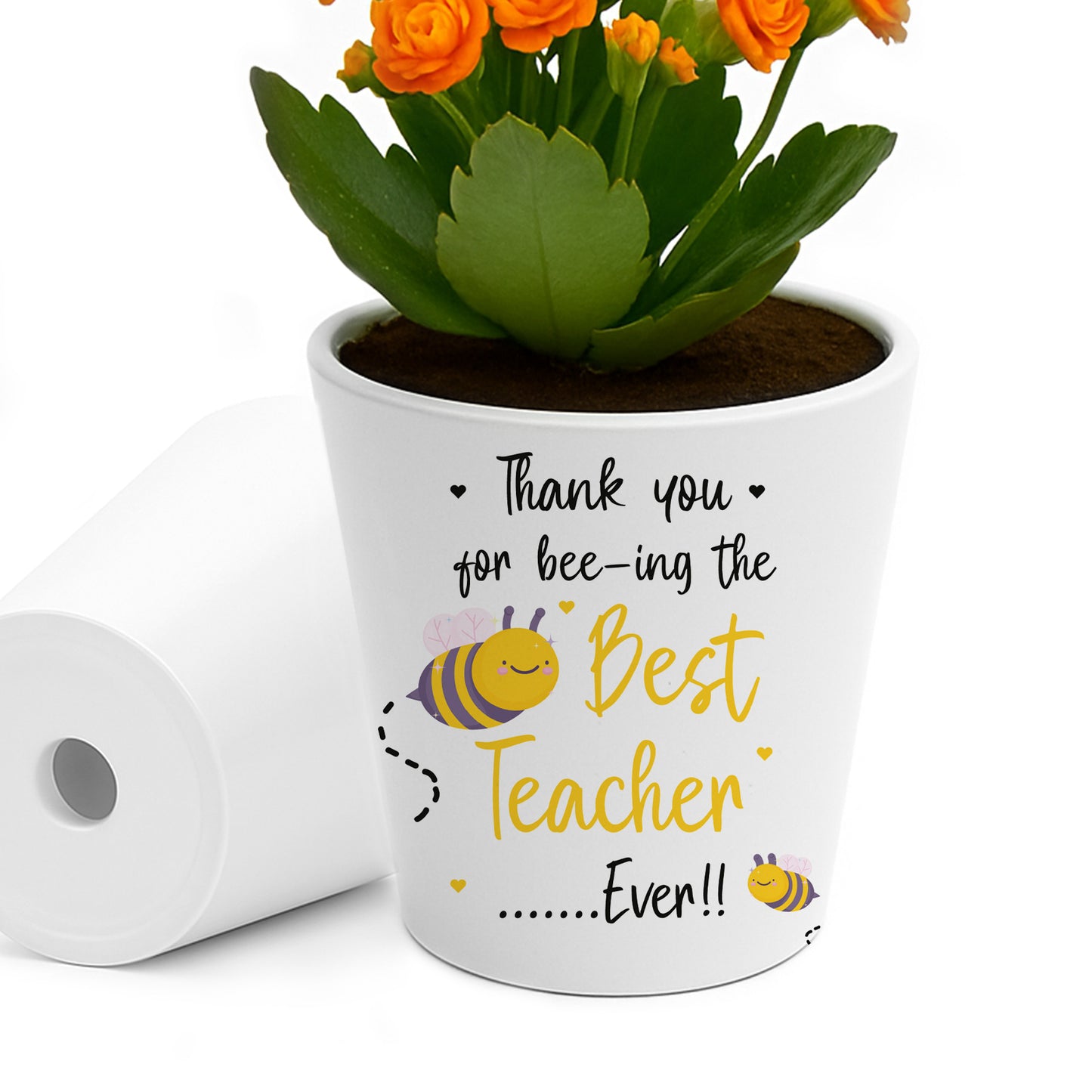 Best Teacher Ever Gift Thank You Gifts For Teacher Plant Pot