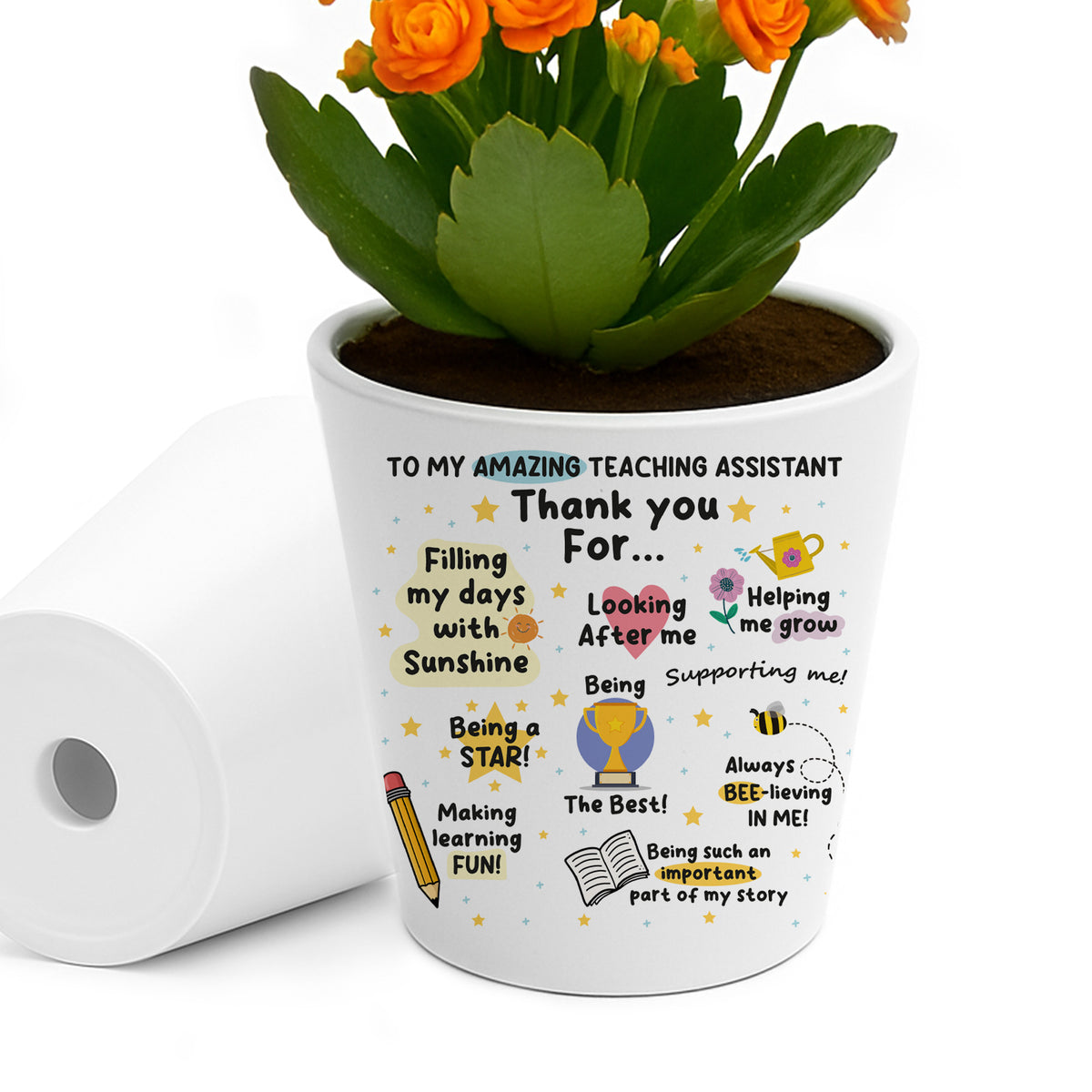 Thank You Gift For Teaching Assistant Plant Pot 10cm x 9cm