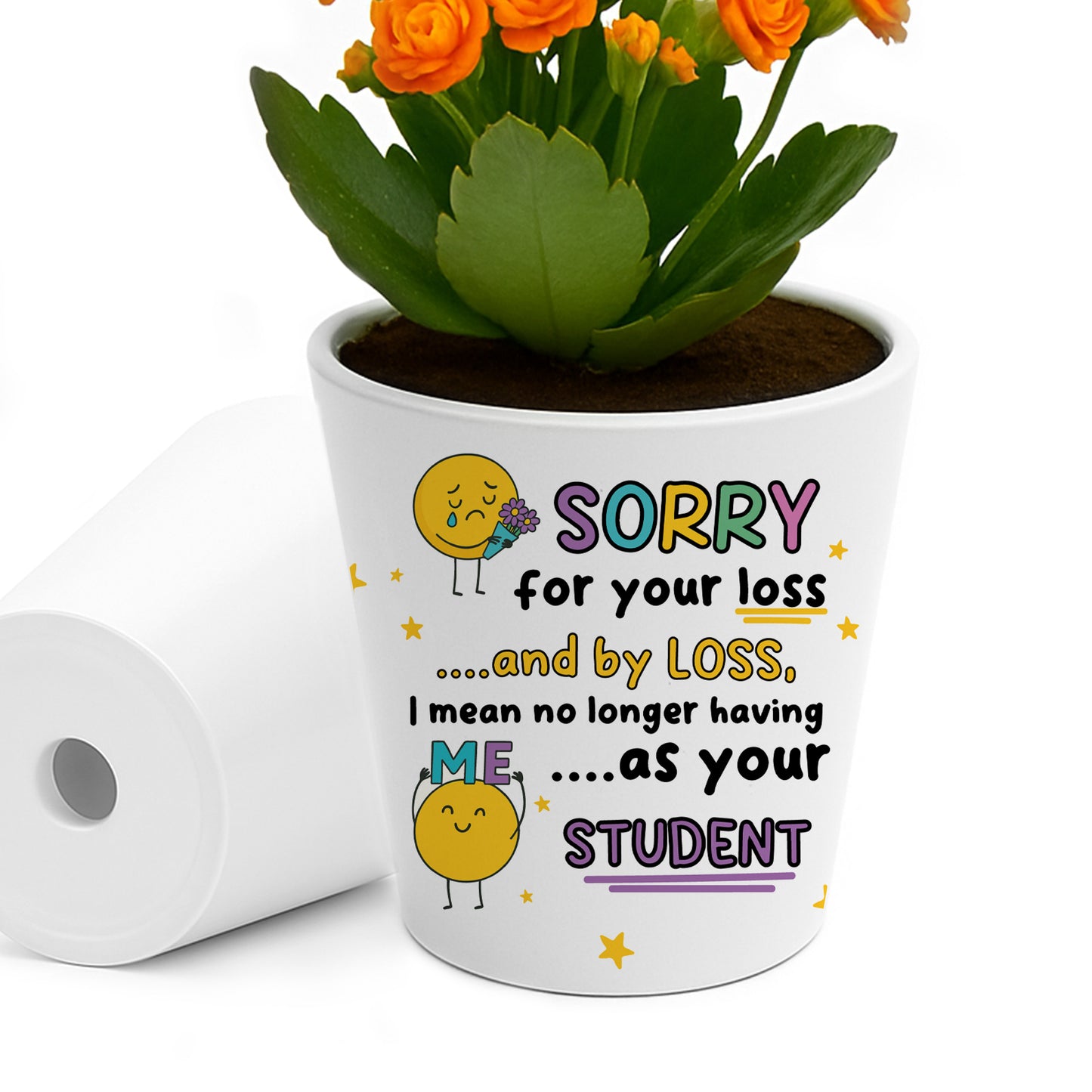 Leaving Gift For Teacher Plant Pot Sorry For Your Loss Gift